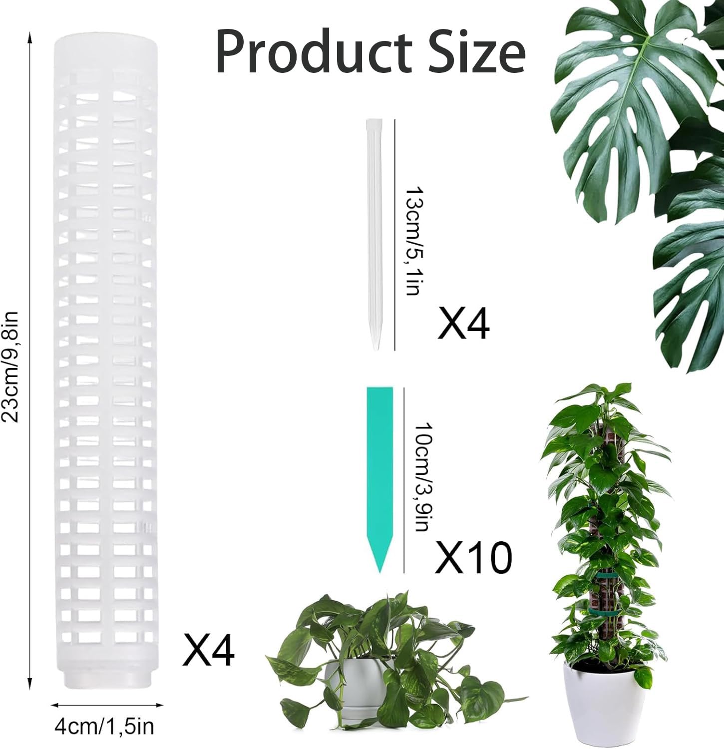 Monstera Rankhilfe, Moosstab fr Monstera, Kletterhilfe Monstera, fr  Gartenbepflanzung Efeutute Pflanzenuntersttzung,100cm Moosstab  Pflanzstab,4 Stck, Monstera mit 10 Etiketten : Amazon.de: Garten
