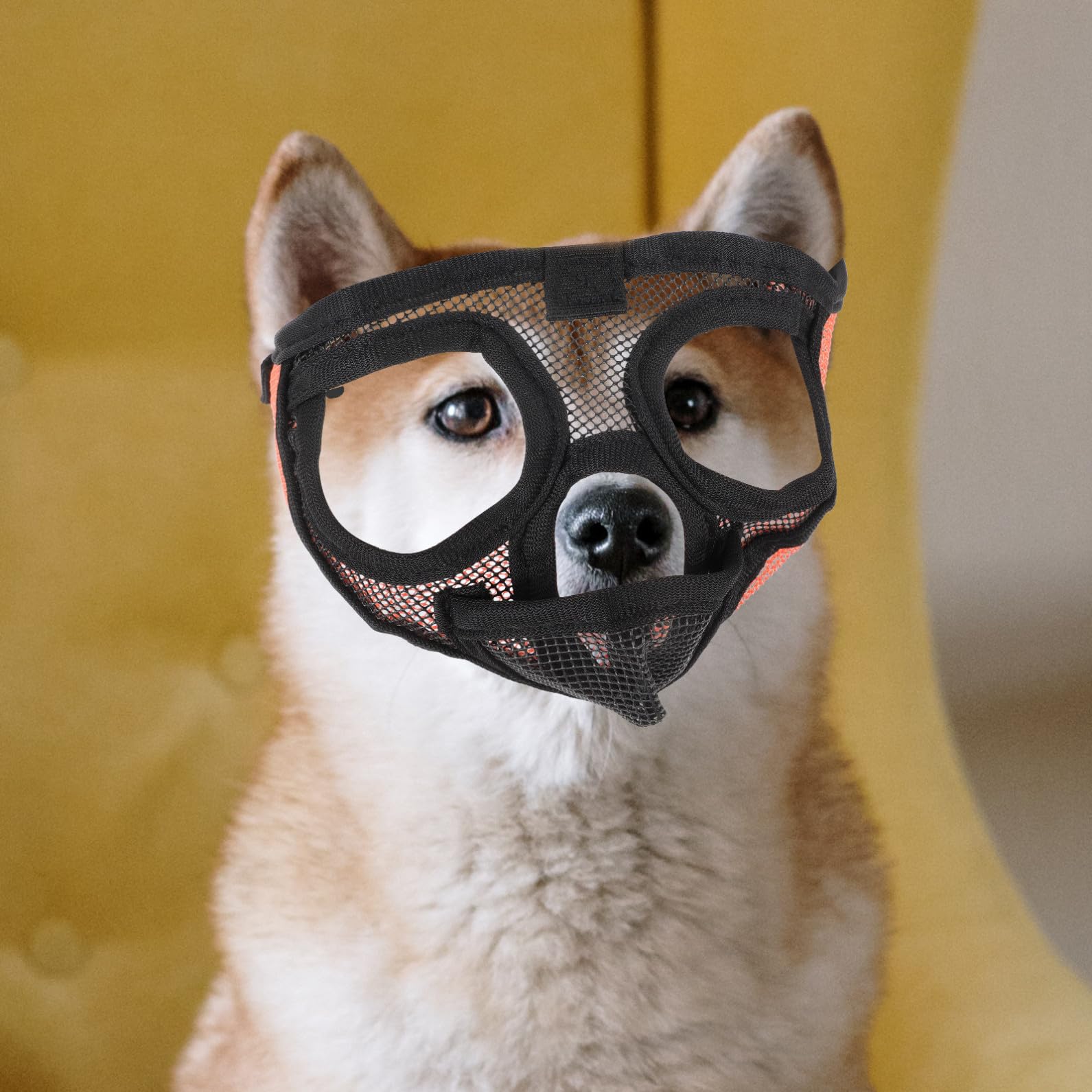 Kisangel 4pièces Muselière Respirante pour Chien à Museau Court Les Aboiements Morsures Conception Légère Et Aérée pour Confort Optimal