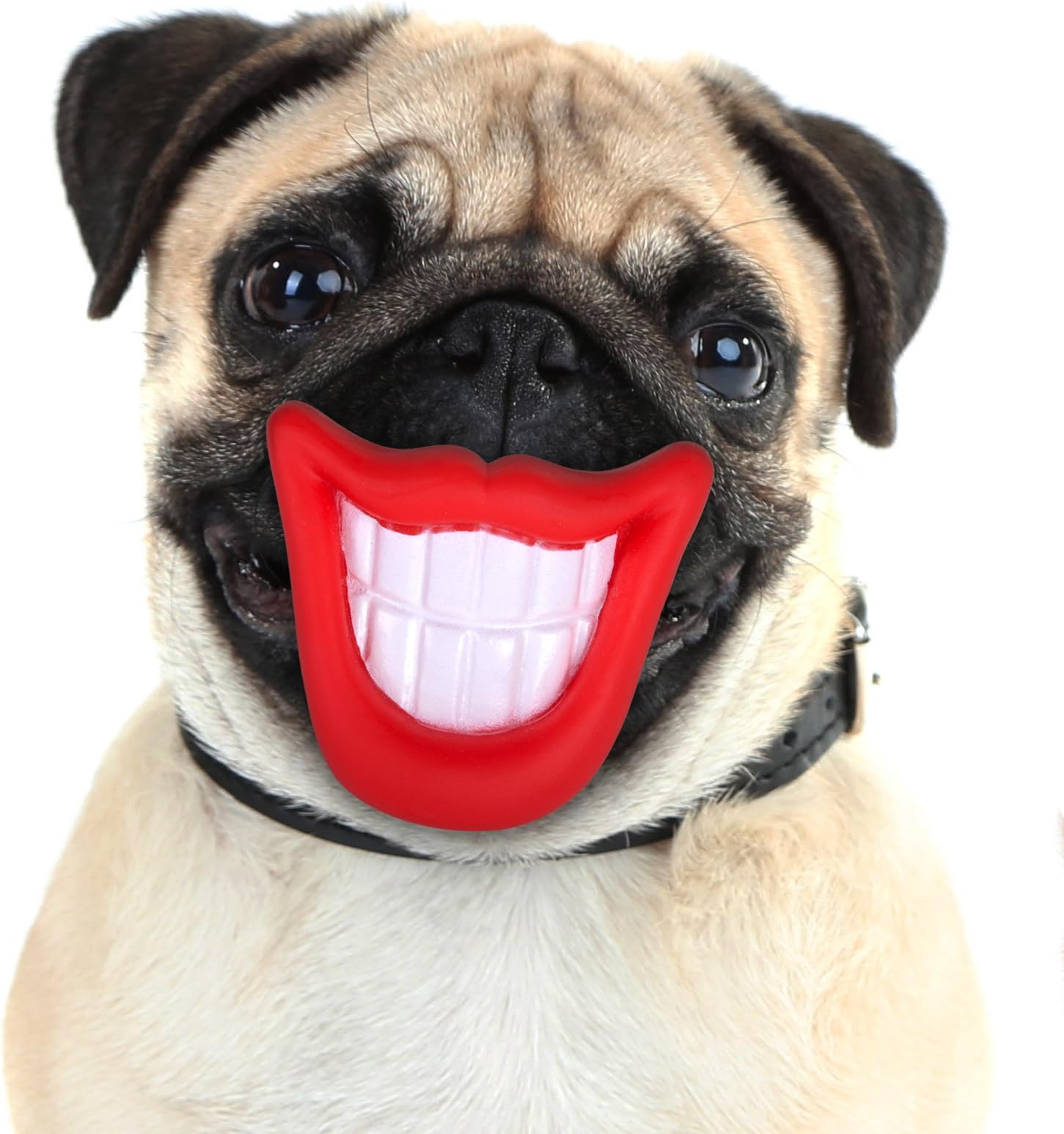 Vinyl Smile Squeaky Pet Toy Dog Puppy Chew Funny Lips & Teeth Sound Activity