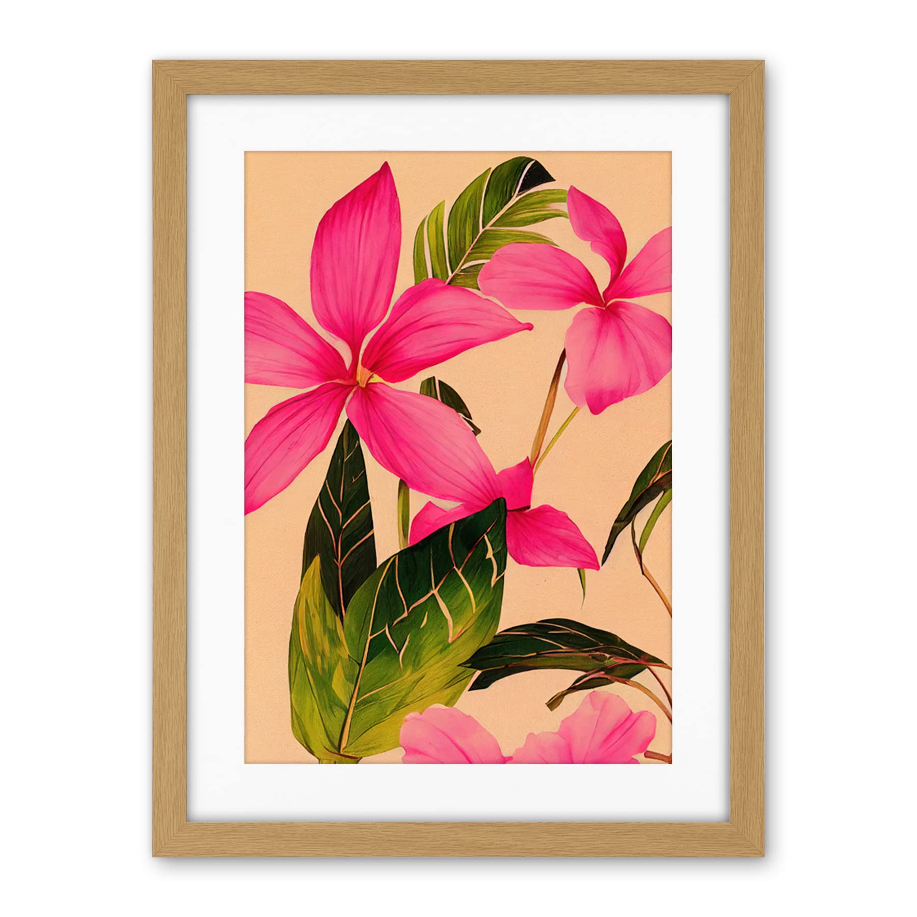 Wee Blue Coo Exotic Pink Plumeria Flower Plant Blooms Watercolour Pencil Illustration Artwork Framed Wall Art Print 18X24 Inch