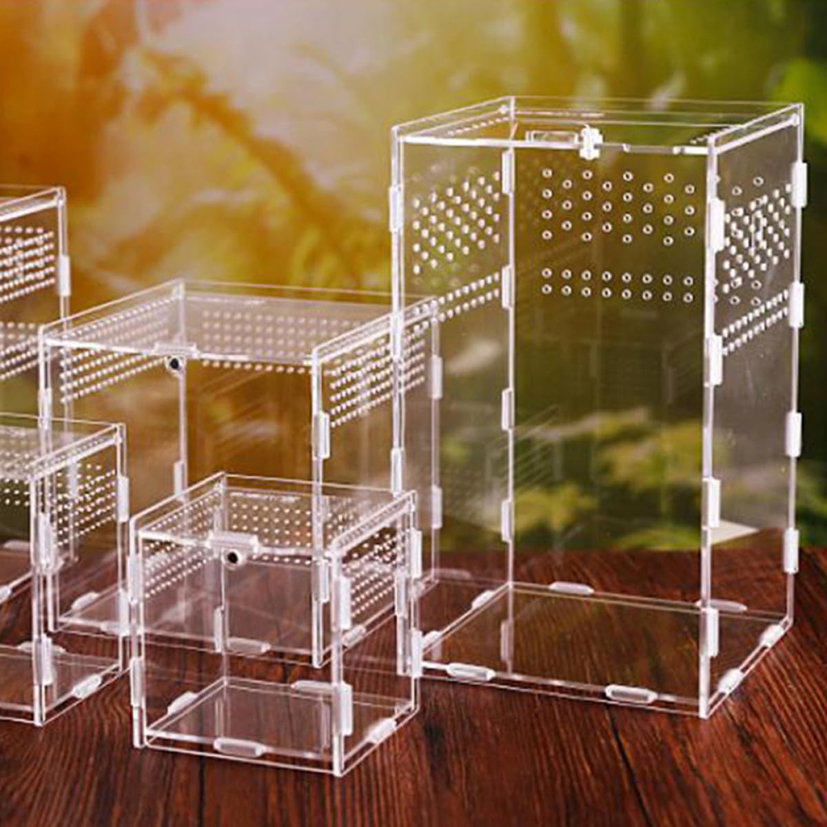 BETOOKY Reptilienzuchtbox als Terrarium Zubehör Transparente Acryl mit Konstantem Luftstrom und Magnetischem Stecksystem für Schnecken und Grillen