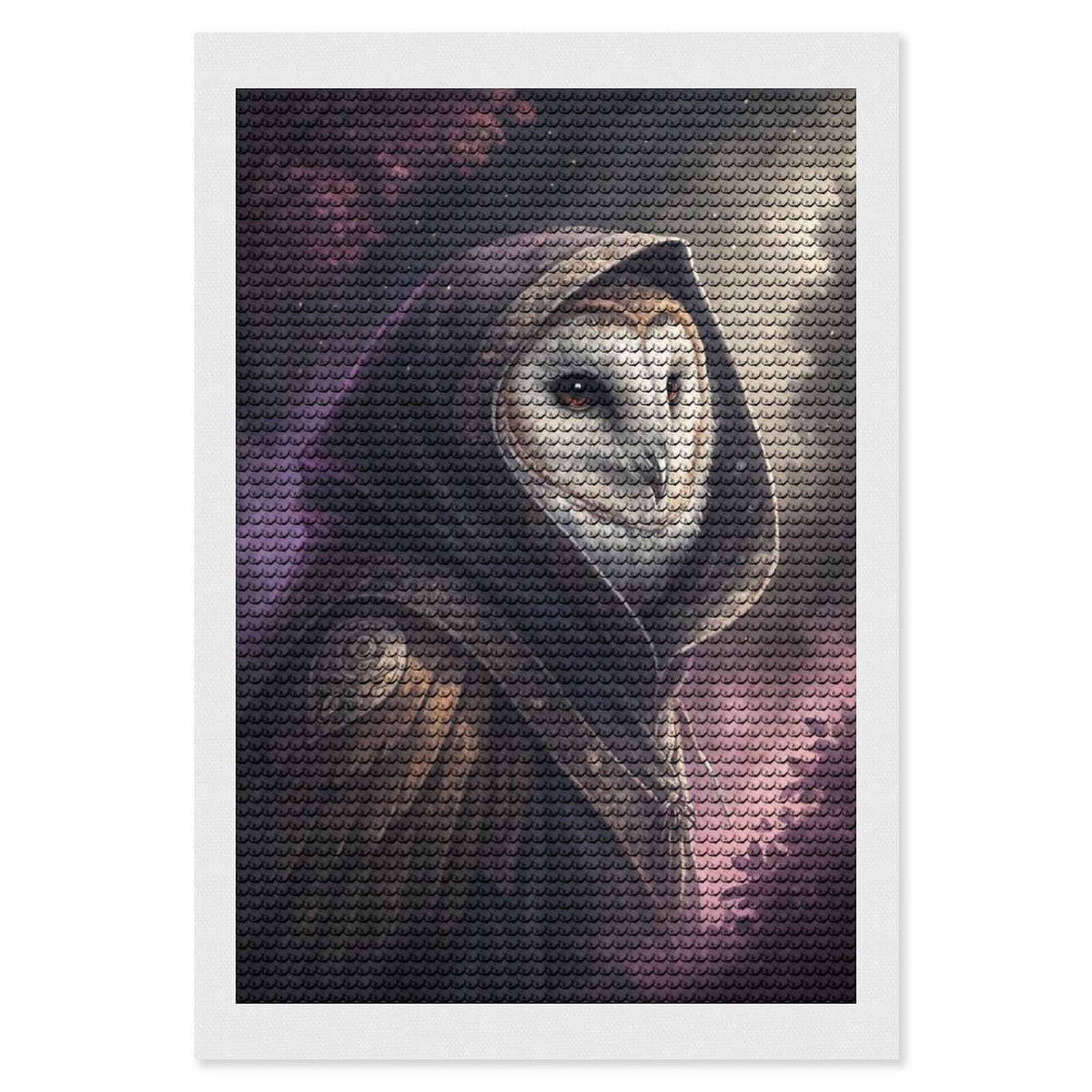 Junmoney Mysterious Hooded Owl Wizard Diamond Painting Set 8"x12", Stress Relief Craft, Easy to Enjoy, Vintage Style Decor, Festive Craft Gift