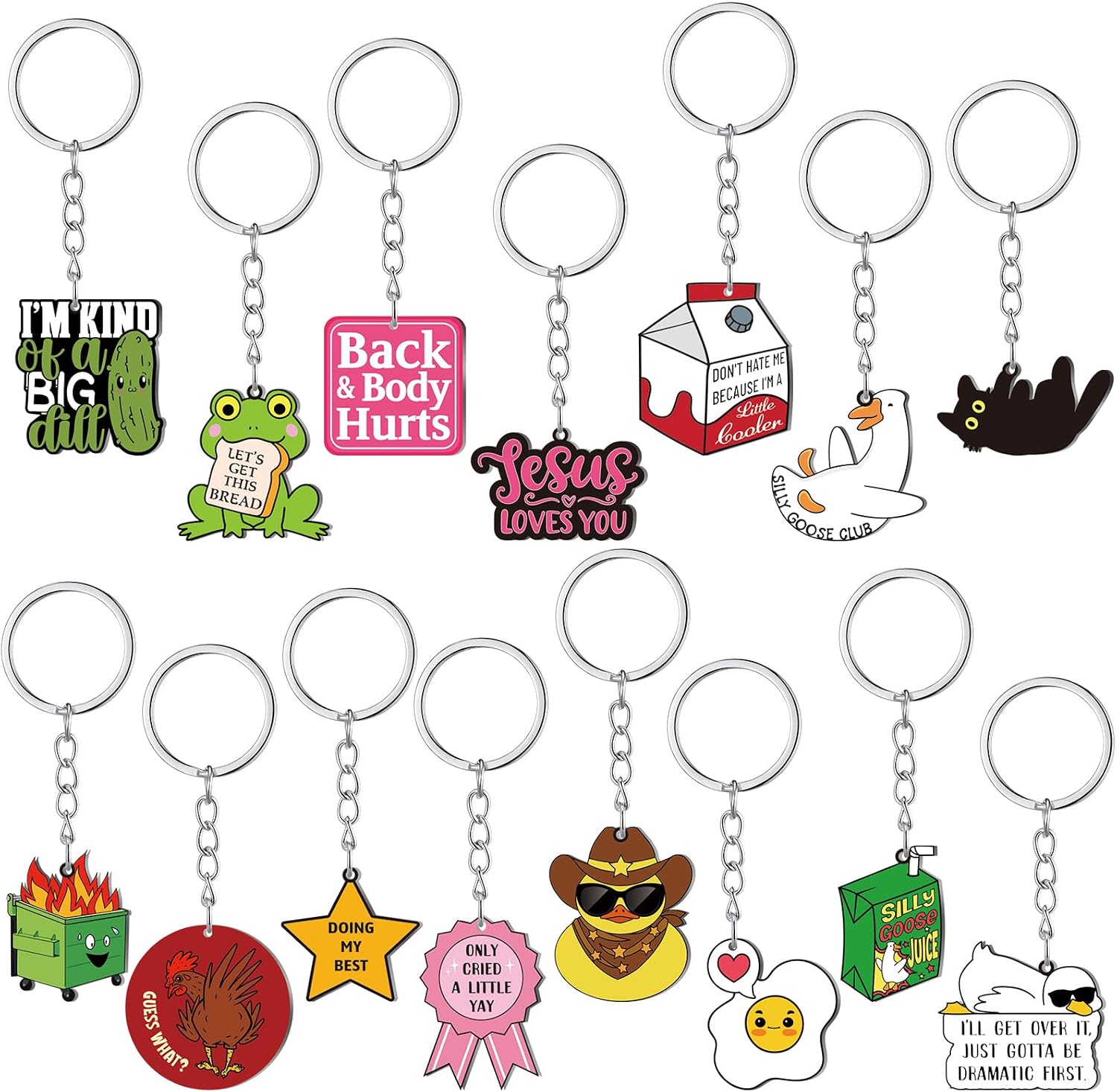 Quelay 15 Pcs Funny Keychains Bulk Stainless Steel Novelty Keychain Party Favors Gifts for Friends Coworkers Teachers Nurses Vet Bags Purse Accessories Supplies
