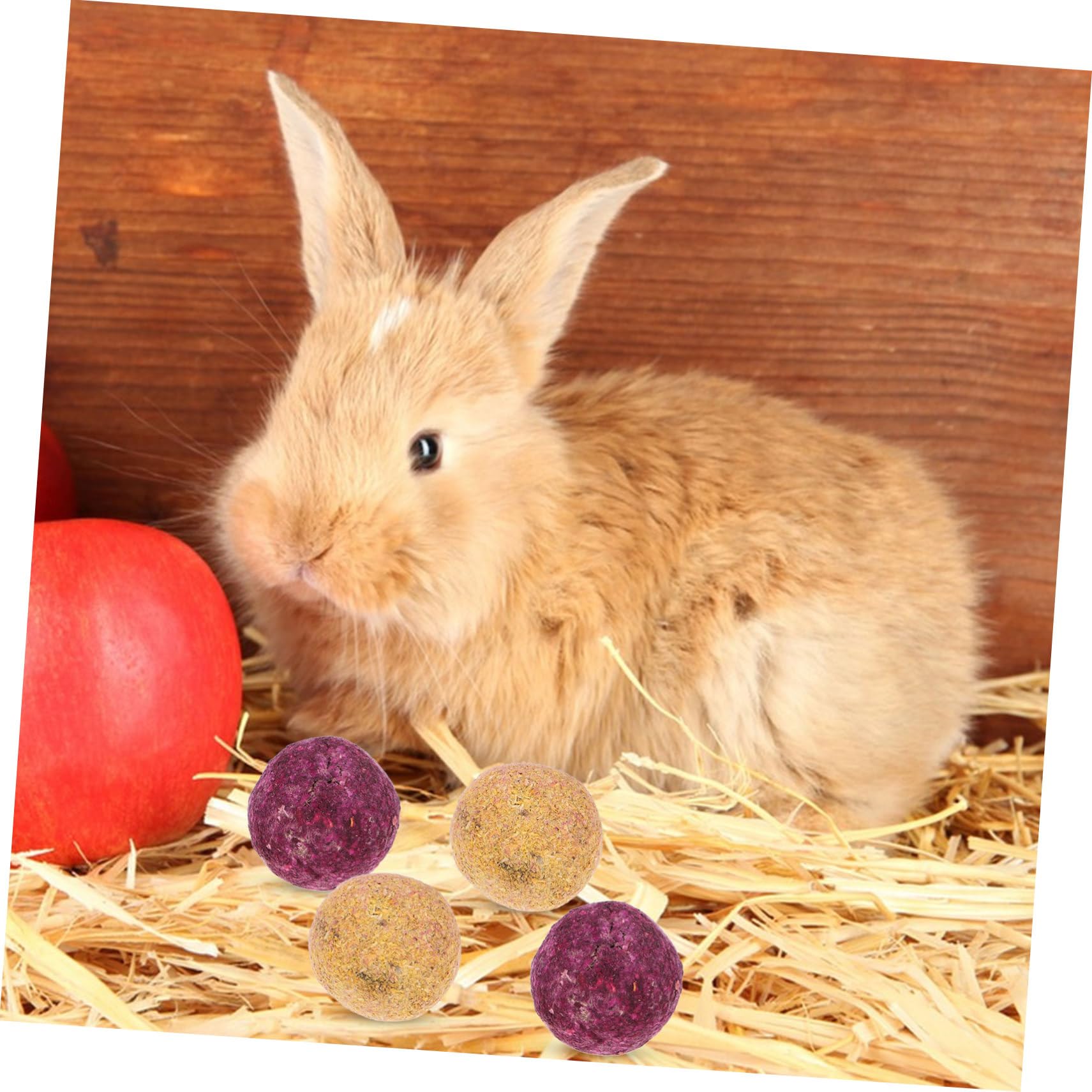 Toddmomy Boules à Mâcher Lot de 36 Aide Broyage des Dents en Plante Naturelle, Jouet à Mâcher et Accompagnement des Animaux pour Lapins et Hamsters pour Petits Animaux