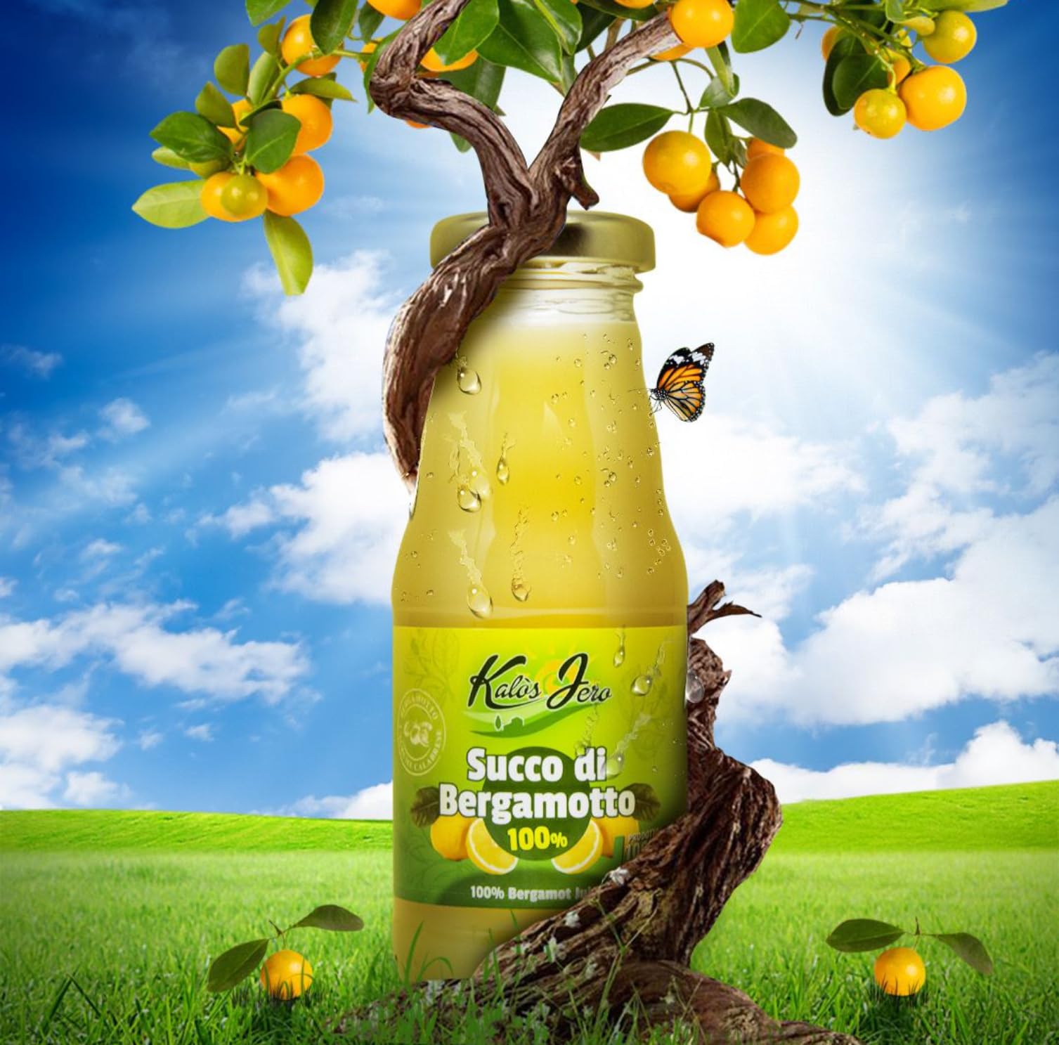 Spremuta Succo di Bergamotto 12x 200ml – 100% Naturale Frutta Fresca di Stagione - Gusto Autentico - Prodotto Artigianale Alta Qualità Senza Additivi – Kalos Jero