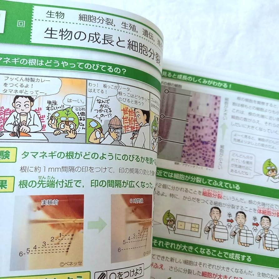 1024km　理科社会セット15000円 1024km 理科社会セット15000円 1024km 理科社会セット15000円