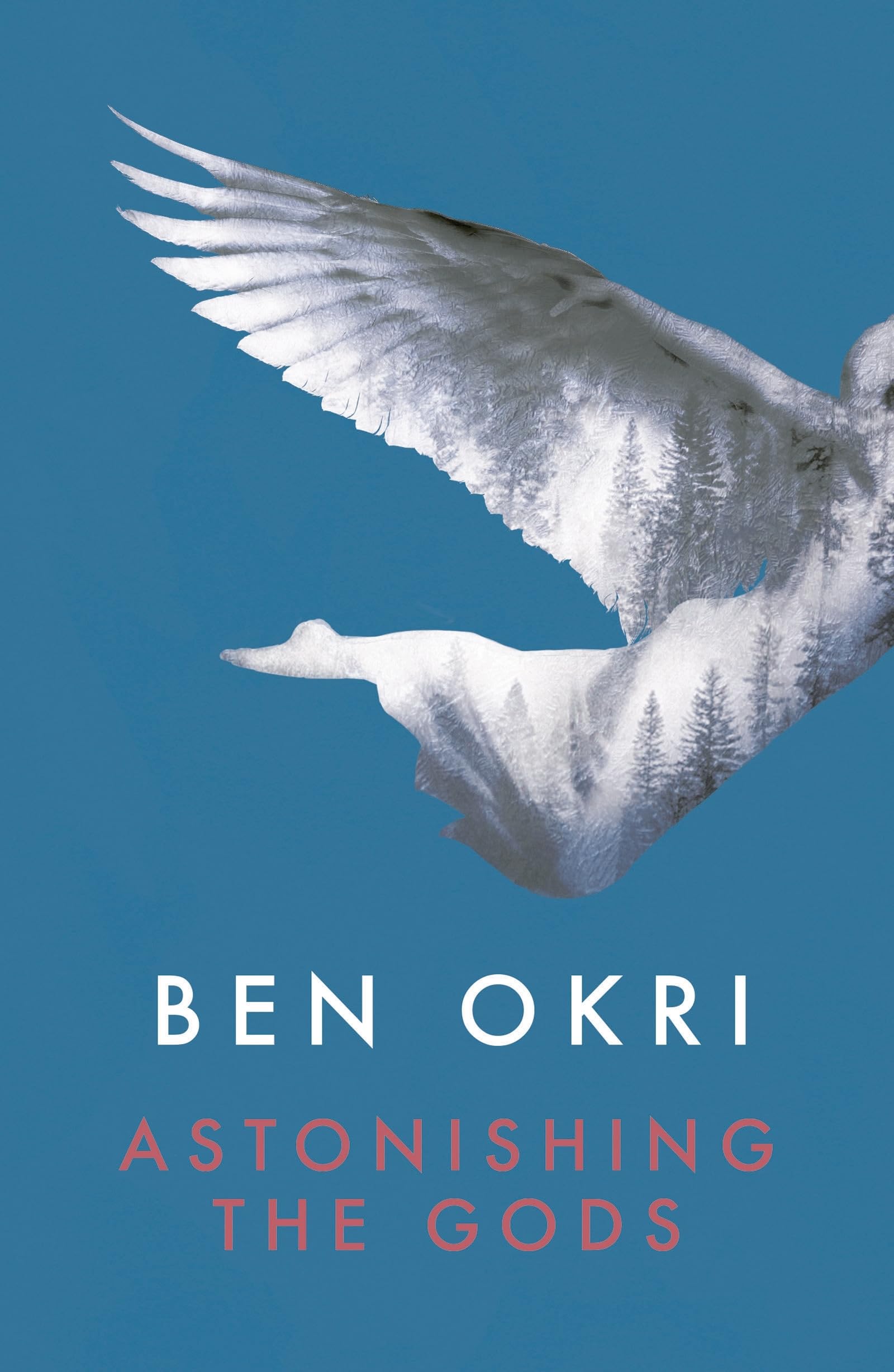 Astonishing the Gods by Ben Okri (Paperback, 2015)