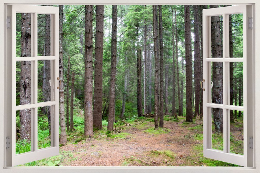 PAPER PLANE DESIGN 3D Depth Illusion Vinyl Wall Decal Sticker Wild Animals Tiger Couple 90 cm X 60 cm (3 Feet X 2 Feet)