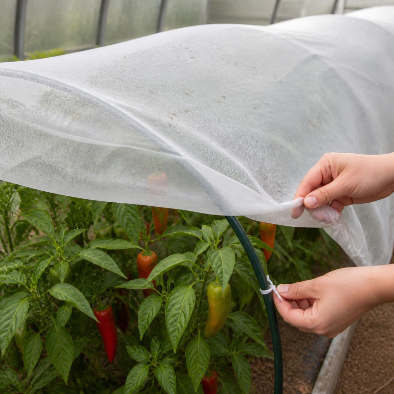 Rete Anti-insetti Agricola 60 Mesh, 2 x 10 metri | in polietilene, materiale ispessito, per agricoltura | protezione piante, frutta, verdura, per coltivazioni