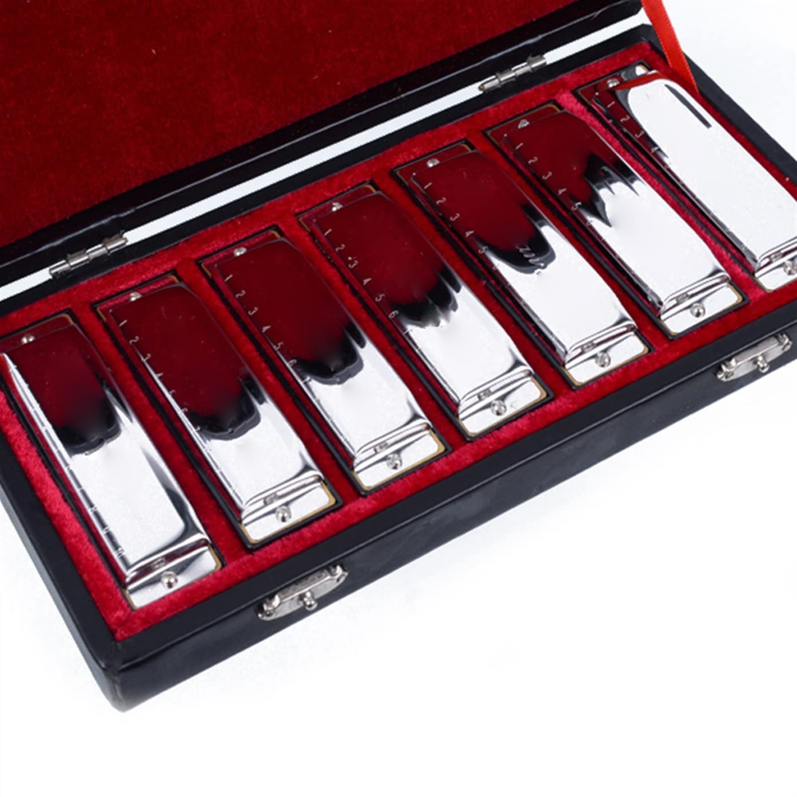 Set di Armoniche A 10 Fori A 20 Toni Set Diatonici A 7 Tasti ABCDEFG Strumento Musicale Armonica per Principianti