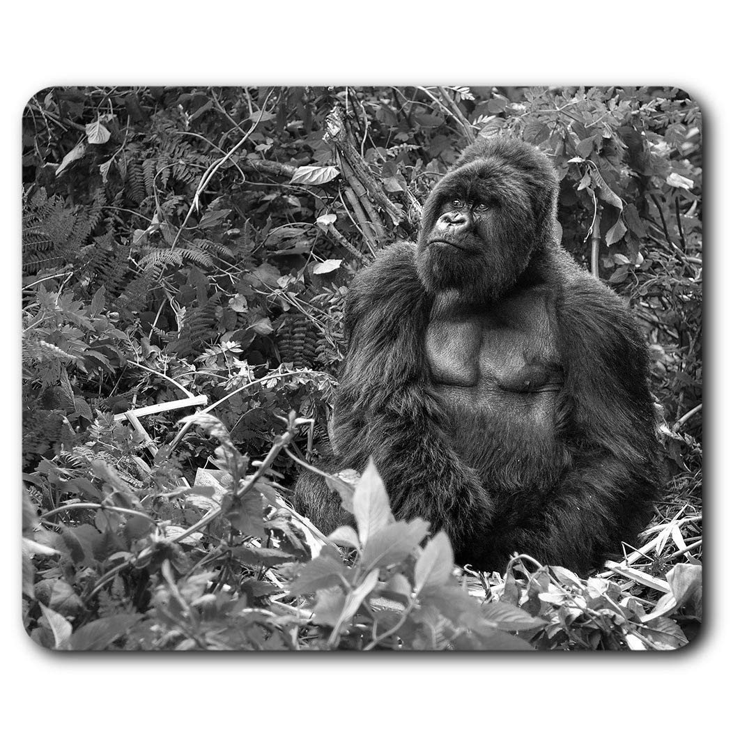 Destination Vinyl ltd Silverback Mountain Gorilla Mouse Mat Pad Computer PC Laptop Gaming Office Home Desk Accessory Gadget #38827