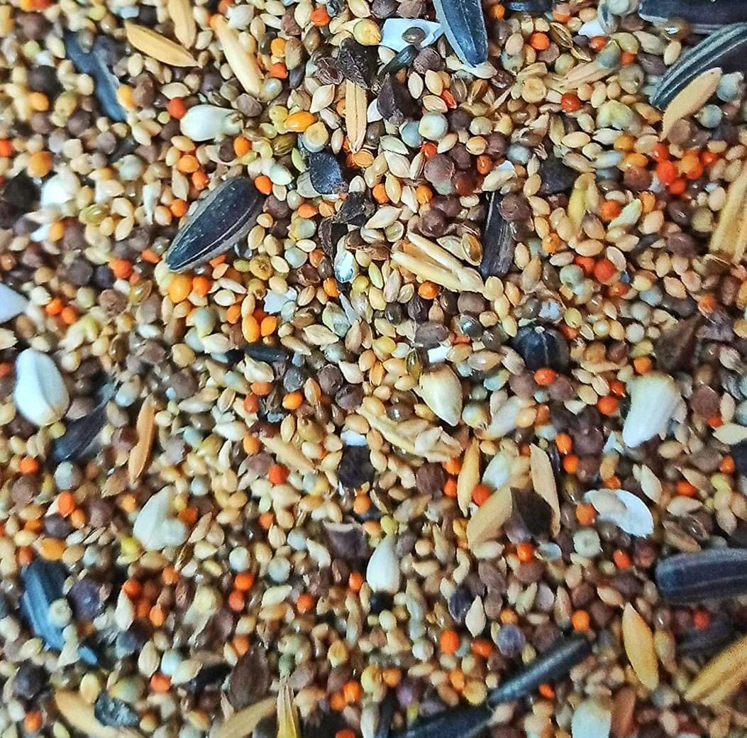 Buy R.S. Birds & Grains Natural Multi Millet Nutrient Bird Feeder For All Life Stages, Mix Seeds