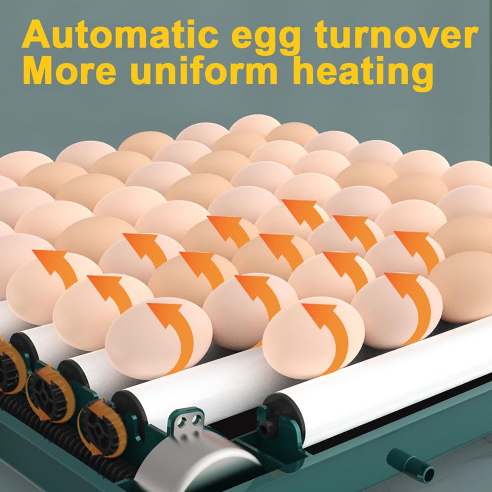 Criadora Automática Digital Para Pollos, Incubadora De Huevos Profesional, Espaciado Ajustable + Giro Automático De Huevos + Control De Temperatura + Reposición De Agua,24eggs