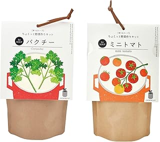 Amazon Co Jp 人気のパクチー 栽培ランキング Amazon Co Jp 人気のパクチー 栽培ランキング