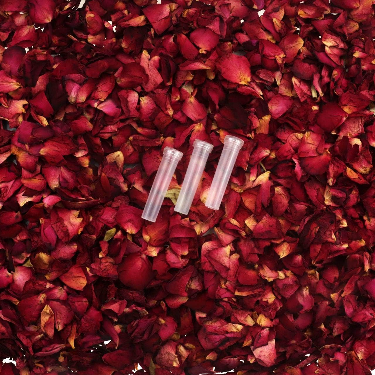 Heatoe 50 Pack Clear Floral Water Tubes Vials Plastic Flower Vials