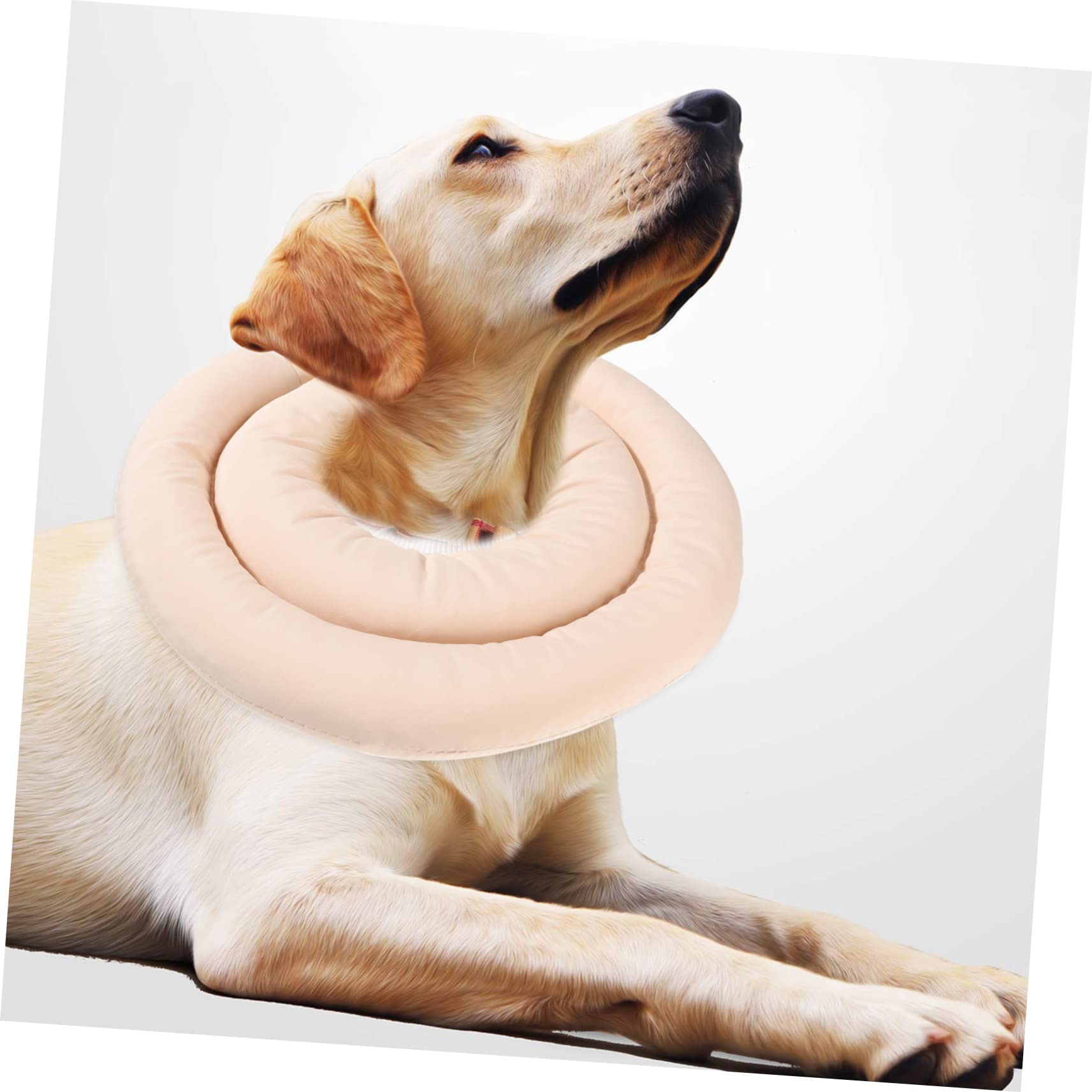 FRCOLOR 2 Conos de recuperación para Cachorros de Elisabeth, para Perros, Cachorros, curación antifugas, Collar para Mascotas, Conos de protección curativa, Collar para Gatos, Suministros
