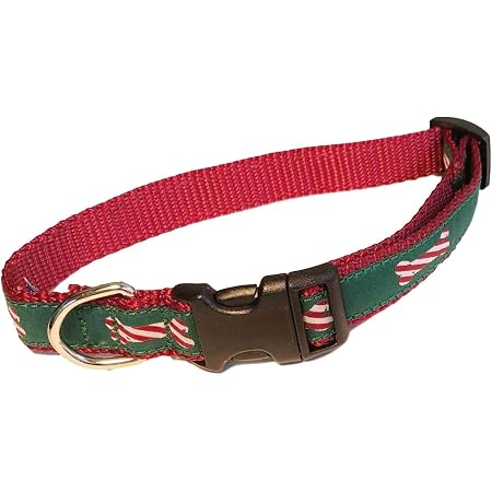 Amazon.com: Preston - Juego de collar y correa para perros con diseño de  bastón de caramelo en cinta verde con correas de nailon rojo (mediano) :  Productos para Animales