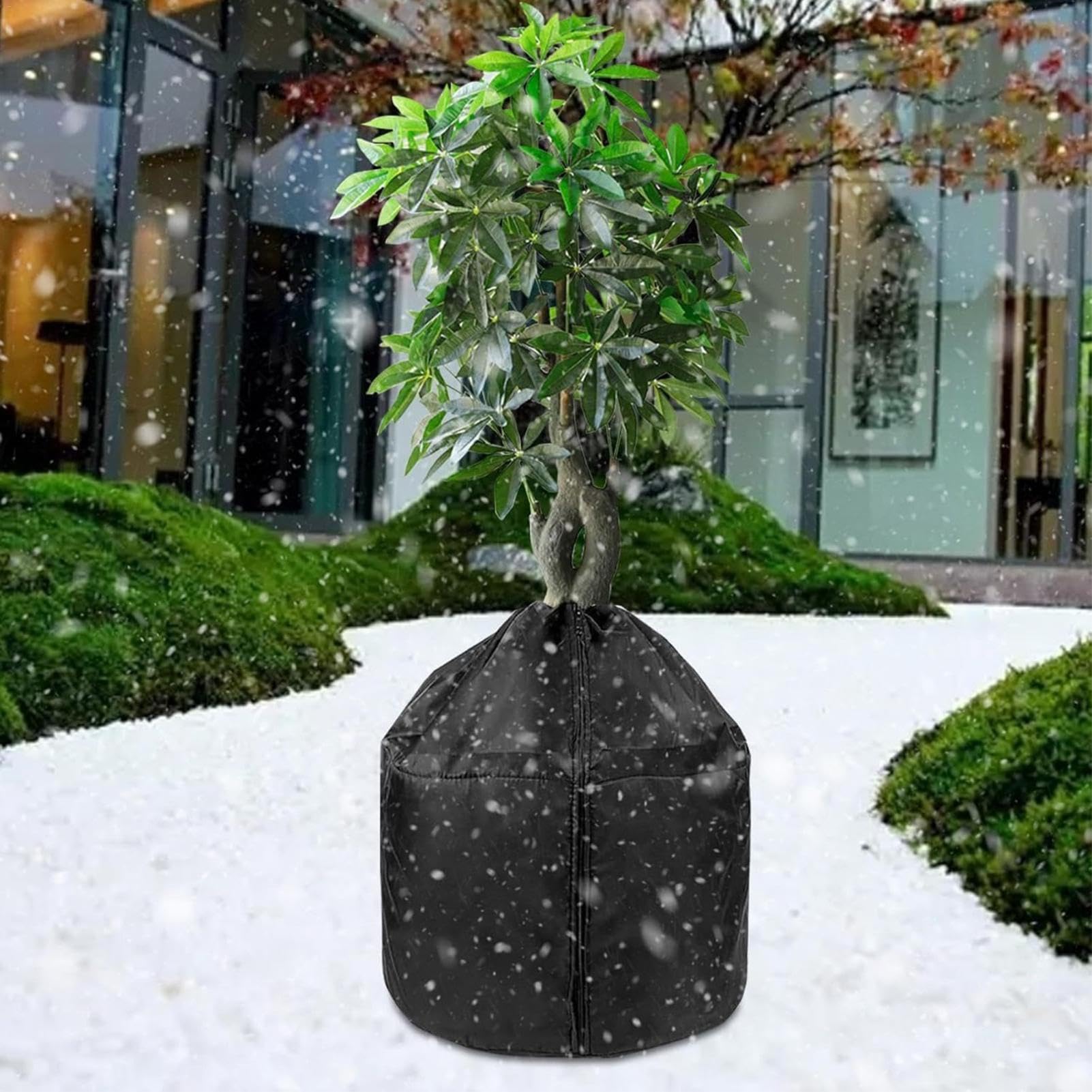 Tenda Protettiva Invernale Per Piante – Copertura Antigelo Quadrata 56x56x56 Cm, In PE Traspirante, Con Picchetti Metallici, Per Arbusti E Vasi
