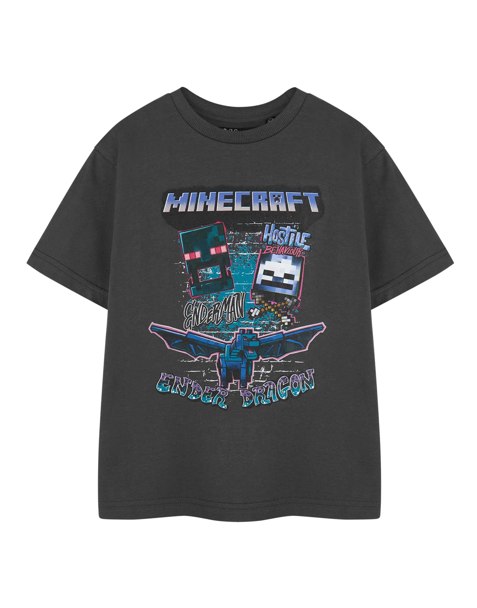 Minecraft (5-6 Years) Short Sleeved T-Shirt (Boys Grey)