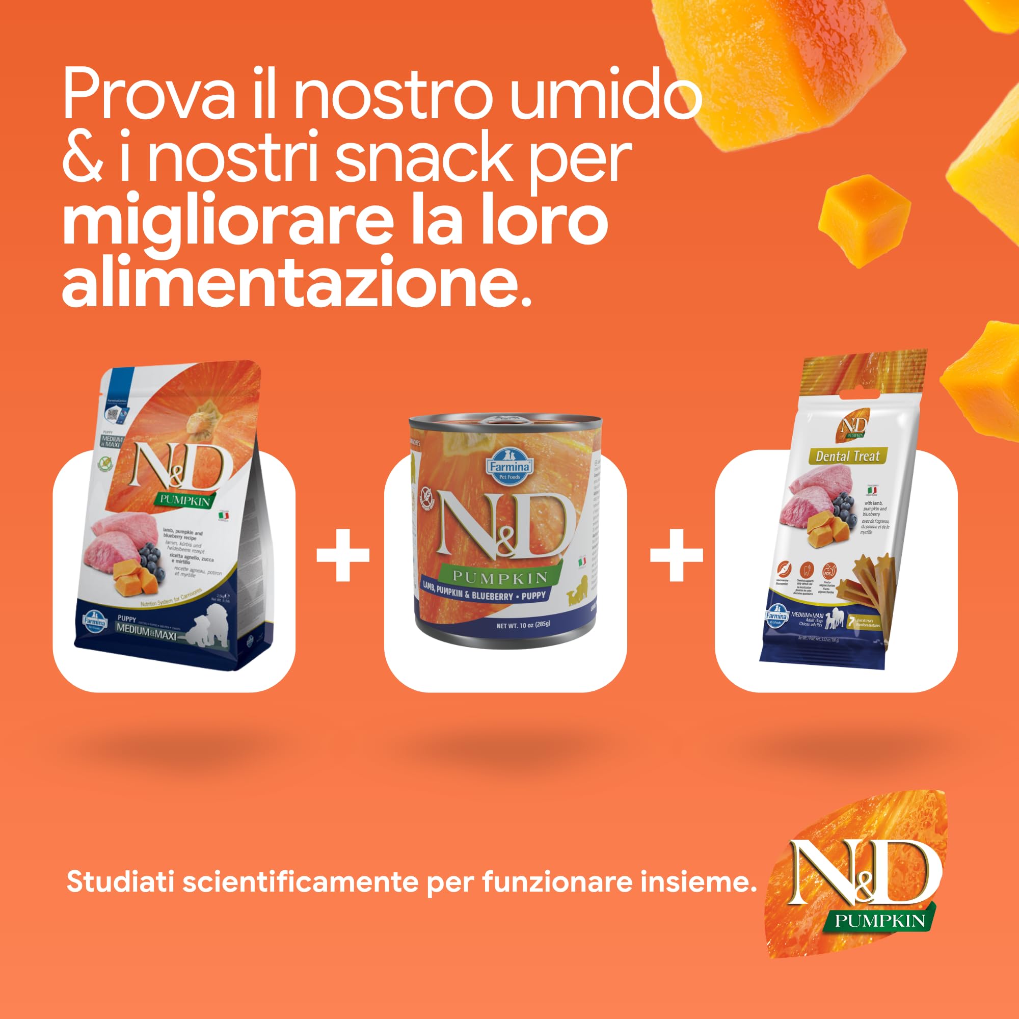 Farmina - NdGr.ainfree Dynia - Jagnięcina - jagnięcina kg. 12 Puppym/M