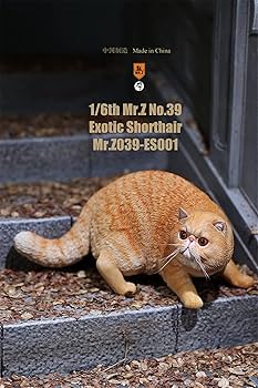 その他 UNBOX refreshmenttoy Giant Exotic Cat Amazon.com: Lana Toys 1:6 Scale Exotic Shorthair Cat Figure