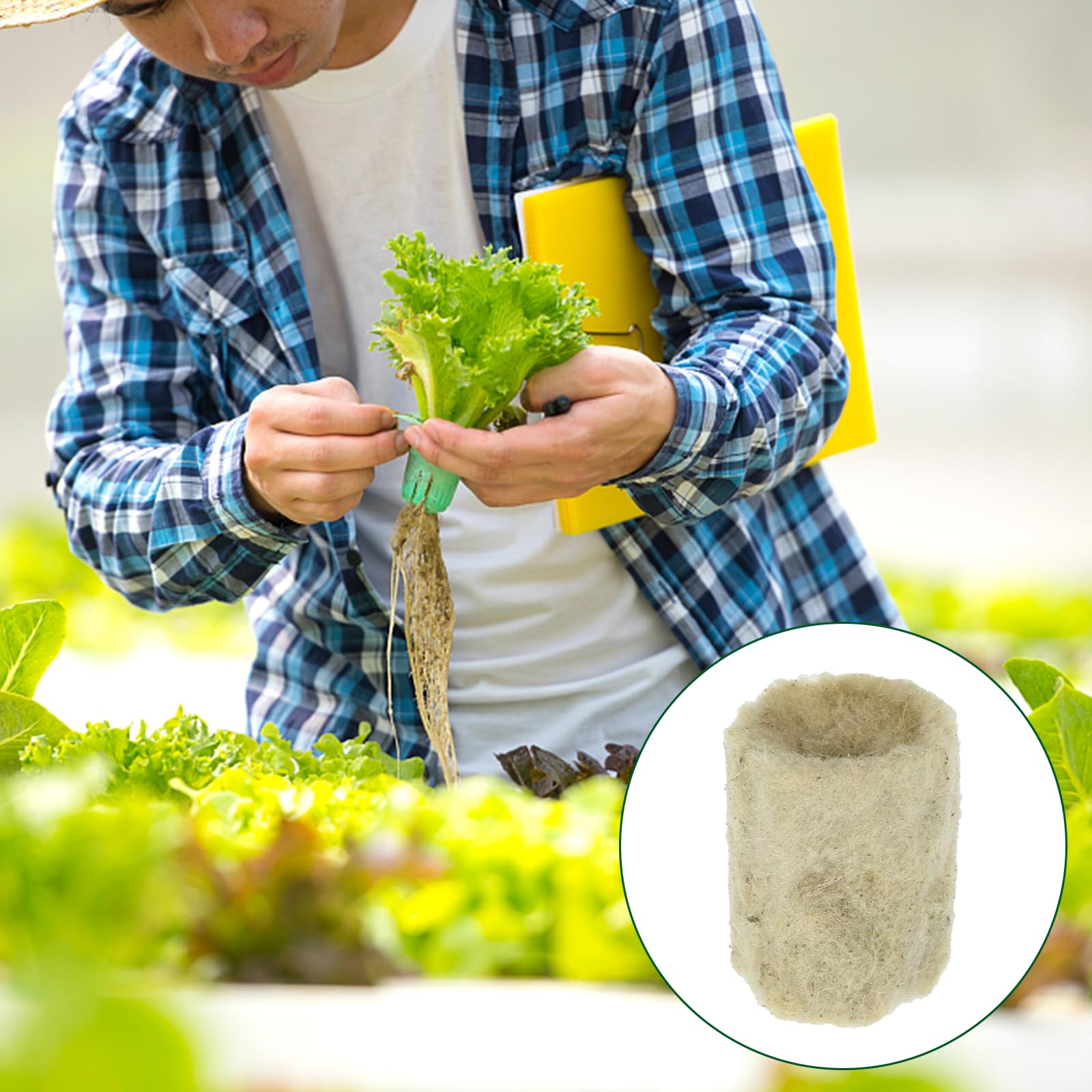 HOMURY 100 unidades de lana de roca cilíndrica: plántula hidroponía de cubo de cría, tapones de lana de roca, tapones para plantas de lana de roca para esquejes, hidropónicos, plantas de interior