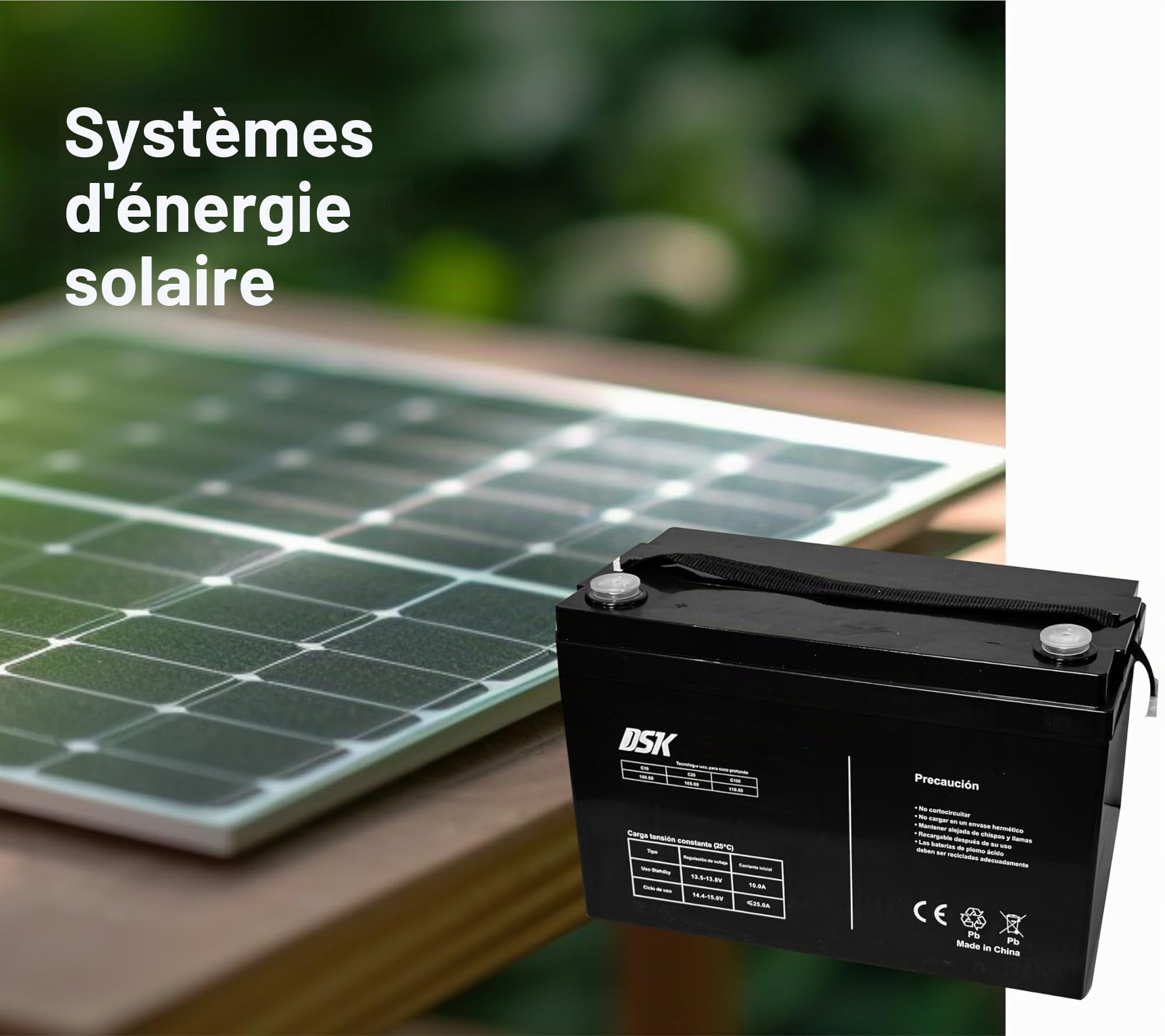 DSK Batterie AGM Plomb Étanche VRLA 12V 12Ah Rechargeable sans Entretien pour Alarmes, Sécurité, Jouets Électriques et UPS - Compatible bornes F1/F2