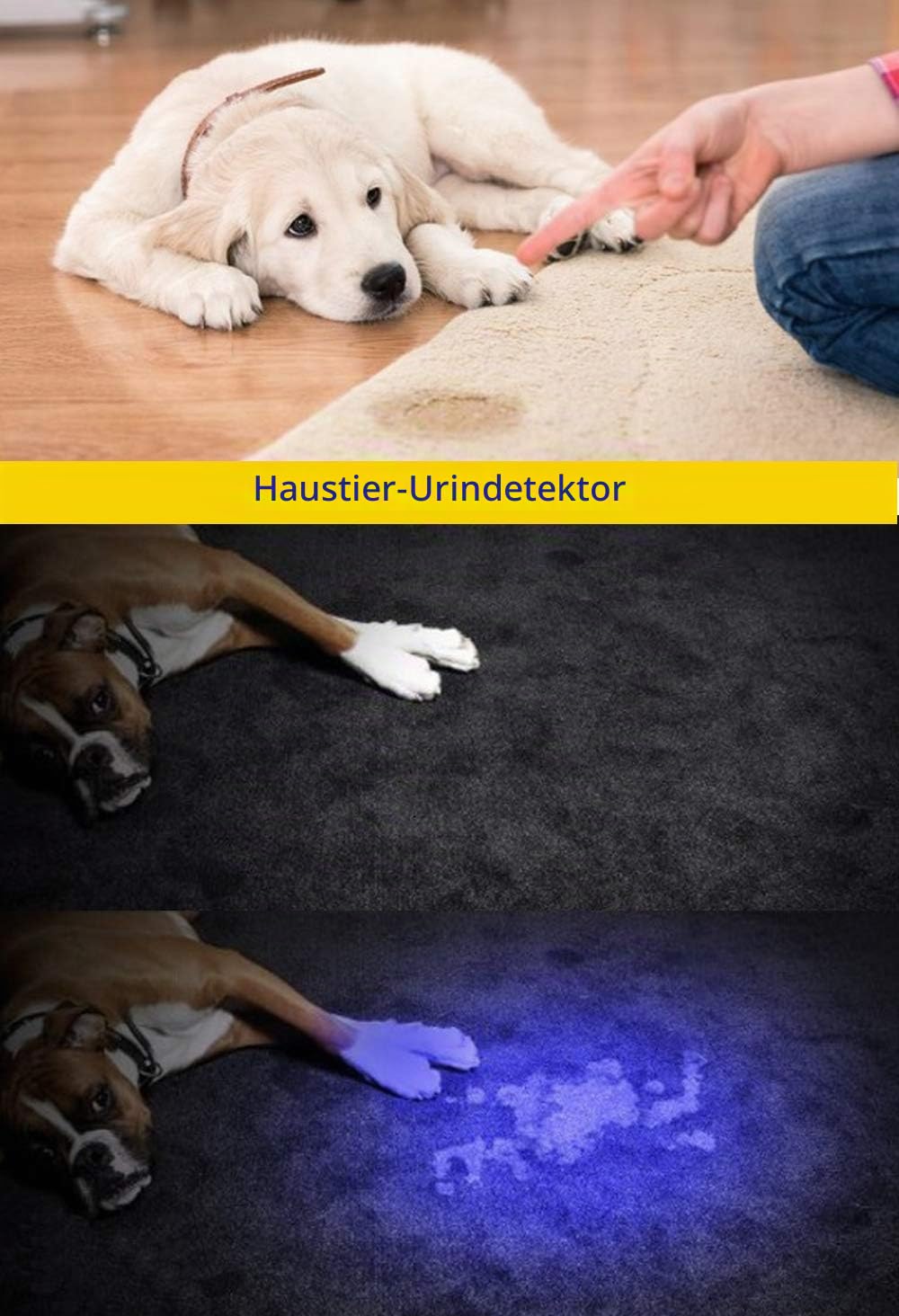 DARKBEAM Taschenlampe Doppeltes UV Licht 365nm & 395nm Wiederaufladbare, Woodsche Lampe Schwarzlichttaschenlampen Mini Hand LED Ultraviolett Licht, Heimtierurindetektoren, Bernstein, Resin, 1 Stück