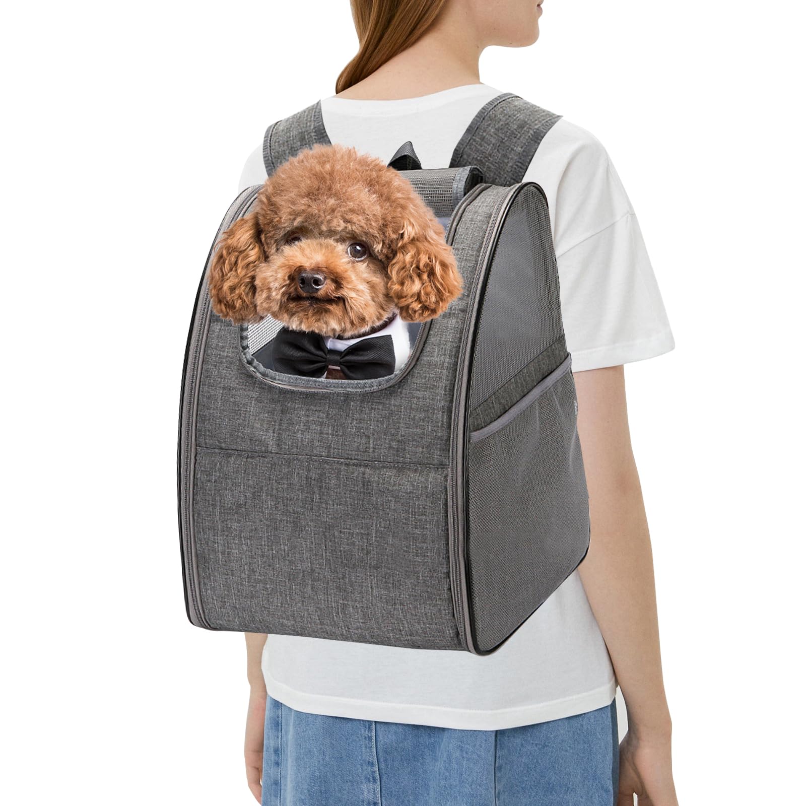 PETCUTE Mochila transportadora para Perros Gatos Mochila para Mascotas pequeños con Alfombrilla de Lana extraíble para Senderismo al Aire Libre