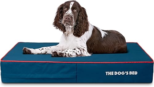 Miniatura 78 de The Dog's Bed - Cama ortopédica de espuma viscoelástica para perro, grande gris y negro, impermeable, cama de apoyo con fundas reemplazables, negro