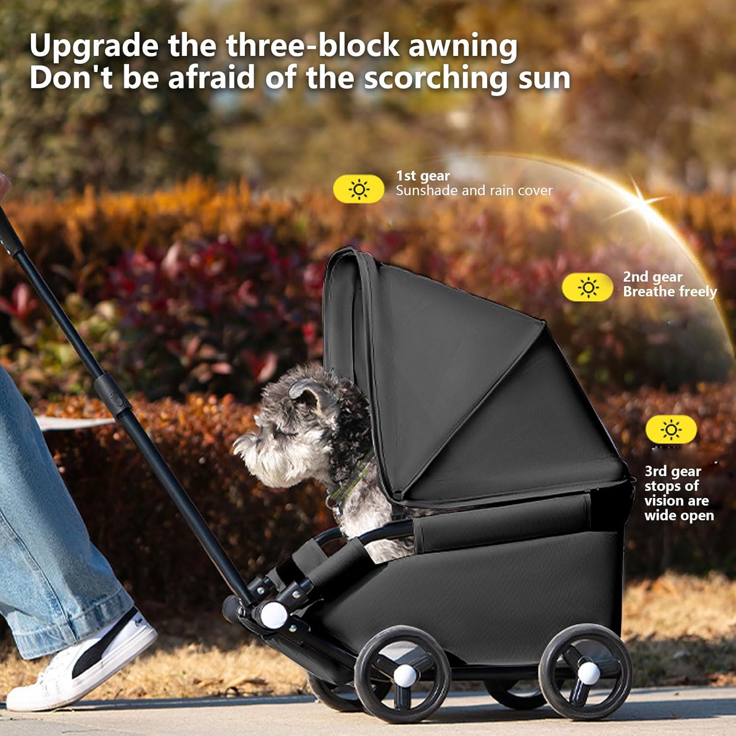 Ultimate Comfort on the Go: Review of the Water-Resistant Dog Stroller for Medium Pets