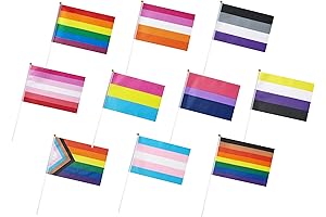 WXTWK Mini Pride Rainbow Flag Assortment