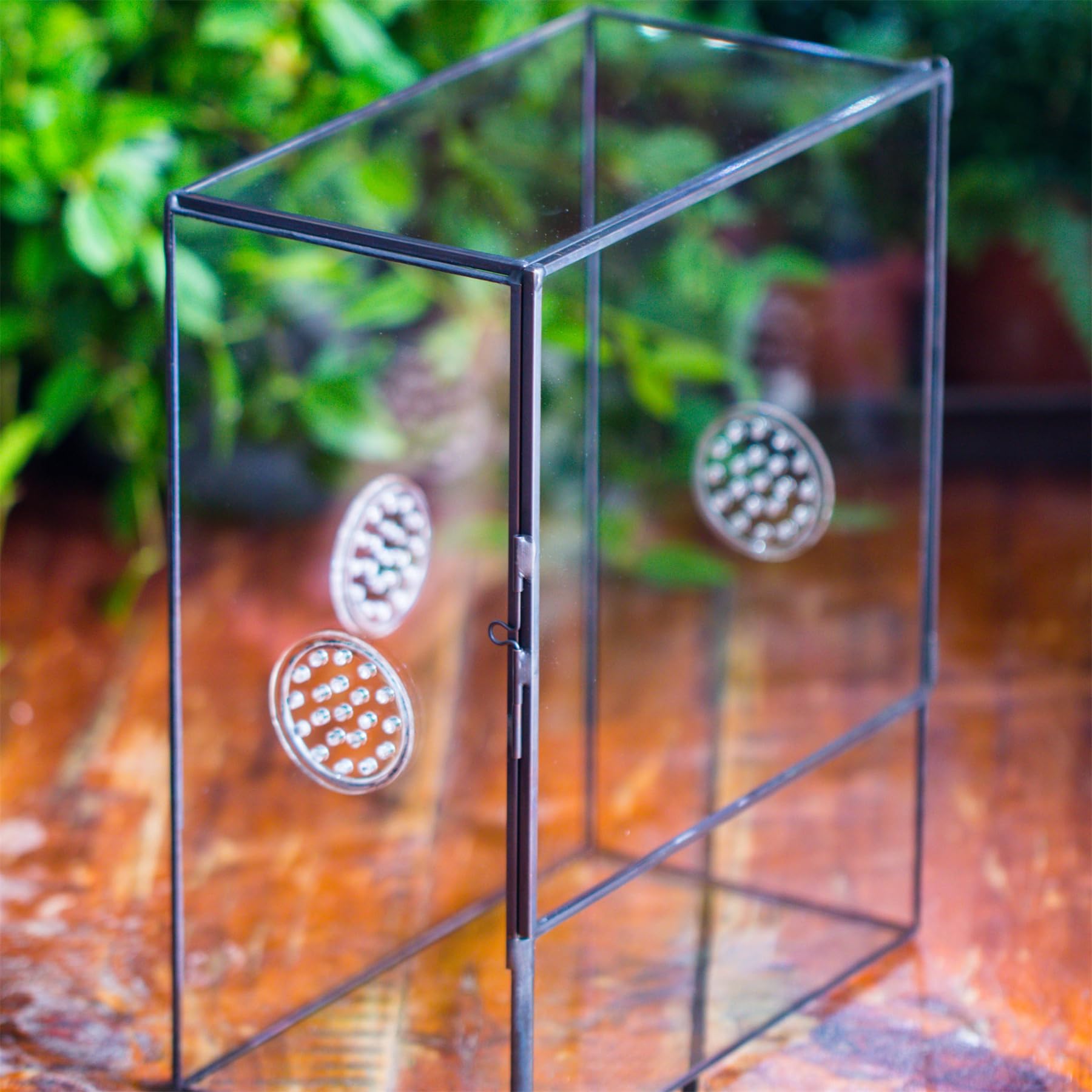 NCYP Terrario in vetro chiuso con porta frontale e 3 prese d'aria per insetti, lumache, ragni, tarantole, 20,3 x 11,4 x 25,4 cm, trasparente, rettangolare, per piante, micro paesaggio