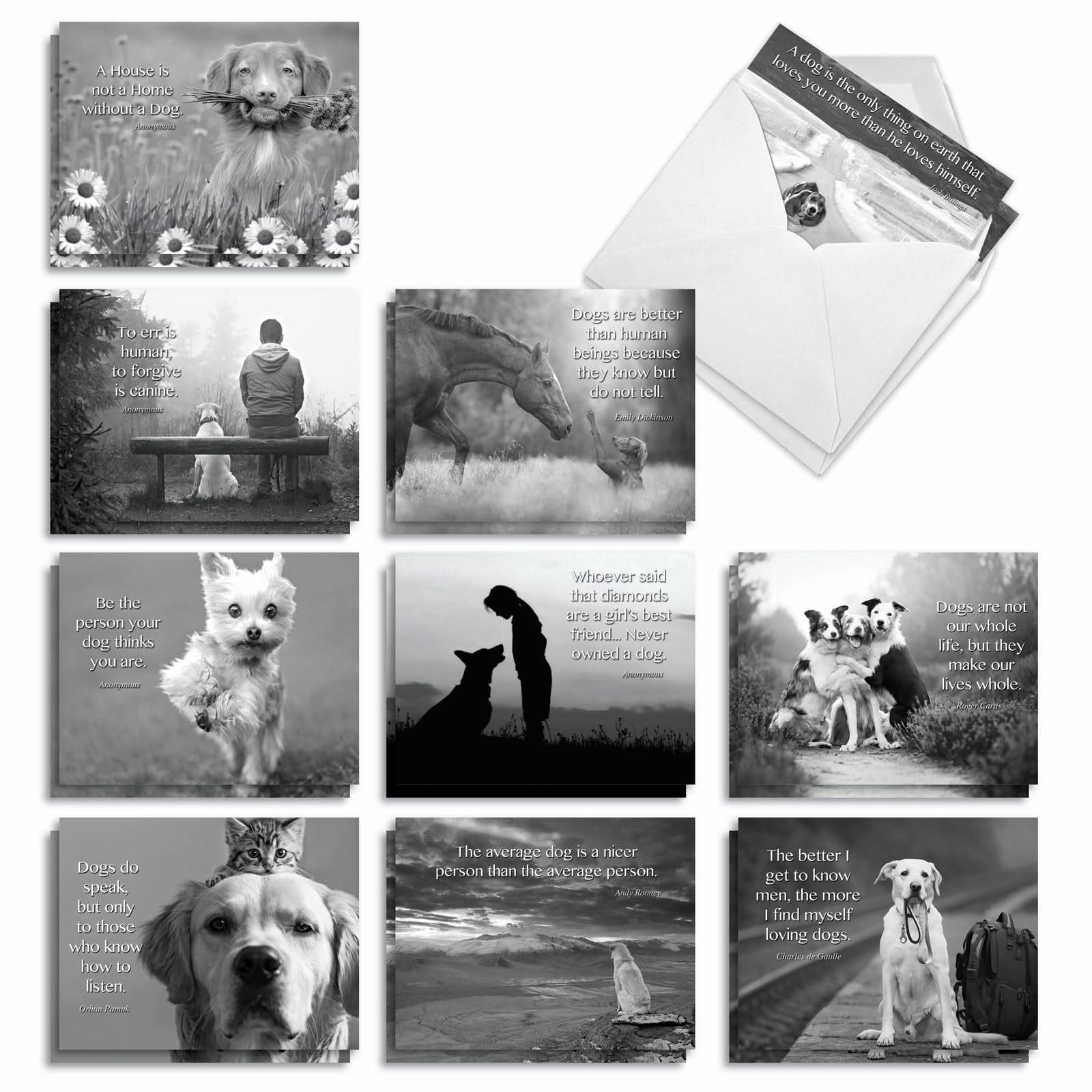 Best Card Co 20 Blank Dog Assorted Notes w/Sayings AM1623OCB-B2x10-NB
