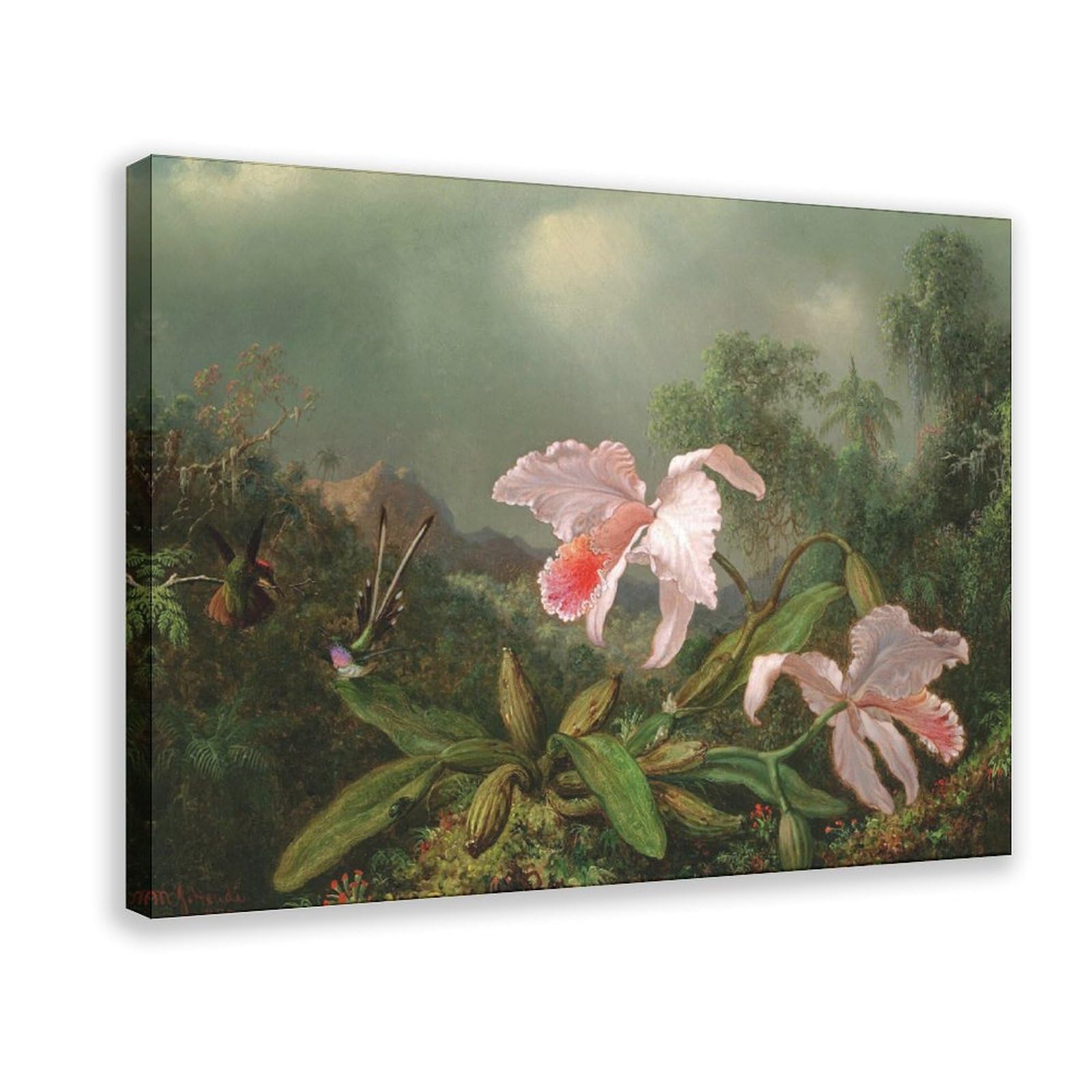 DFJyjFGJJ Martin Johnson Heade,Jungle Orchids And Hummingbirds, Painted in 1872 Canvas Poster Bedroom Sports Landscape Office Room Decor Gift 20" L X 30" W