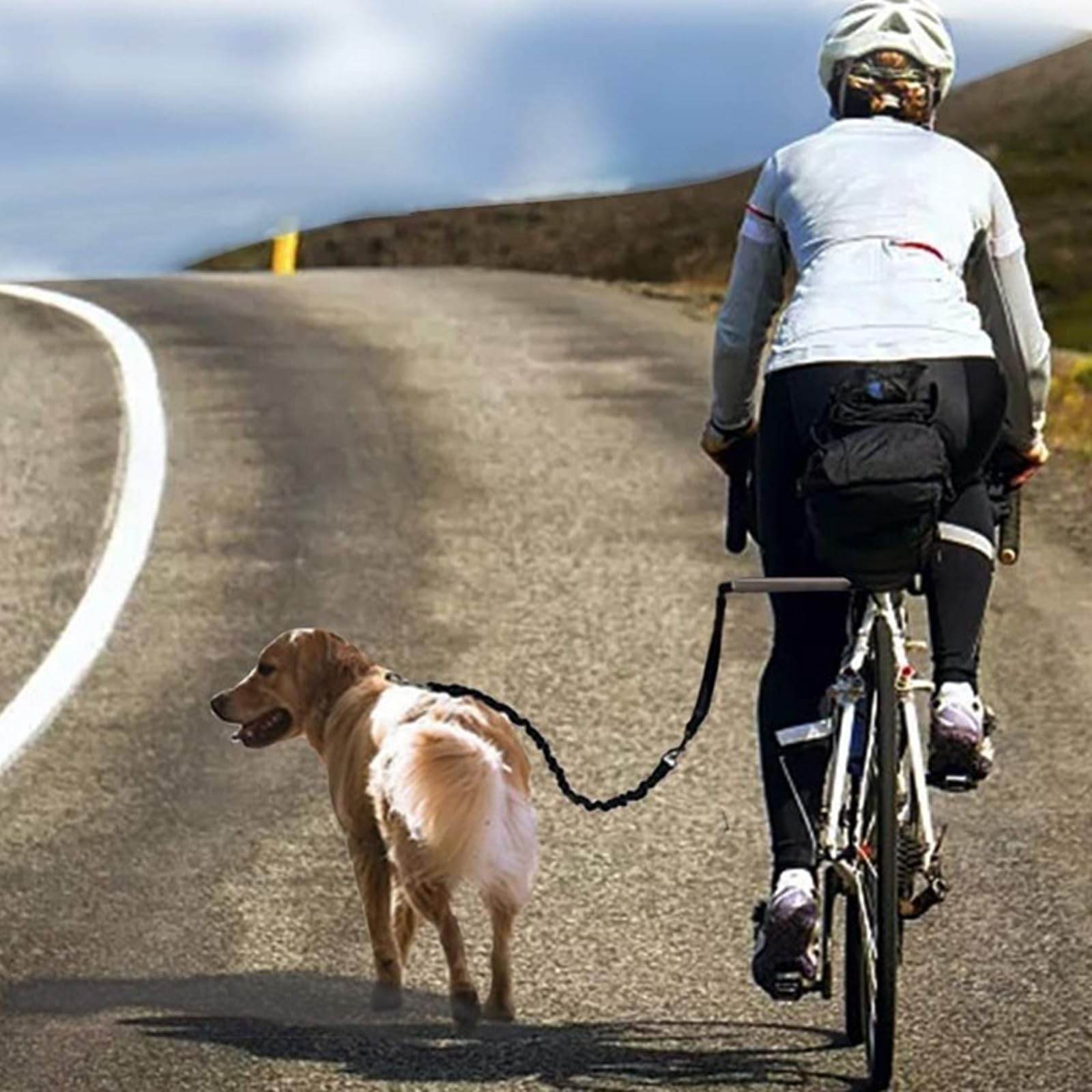 Guinzaglio per cani a mani libere, resistente, con guinzaglio retrattile, per esercizi, allenamento, jogging, ciclismo