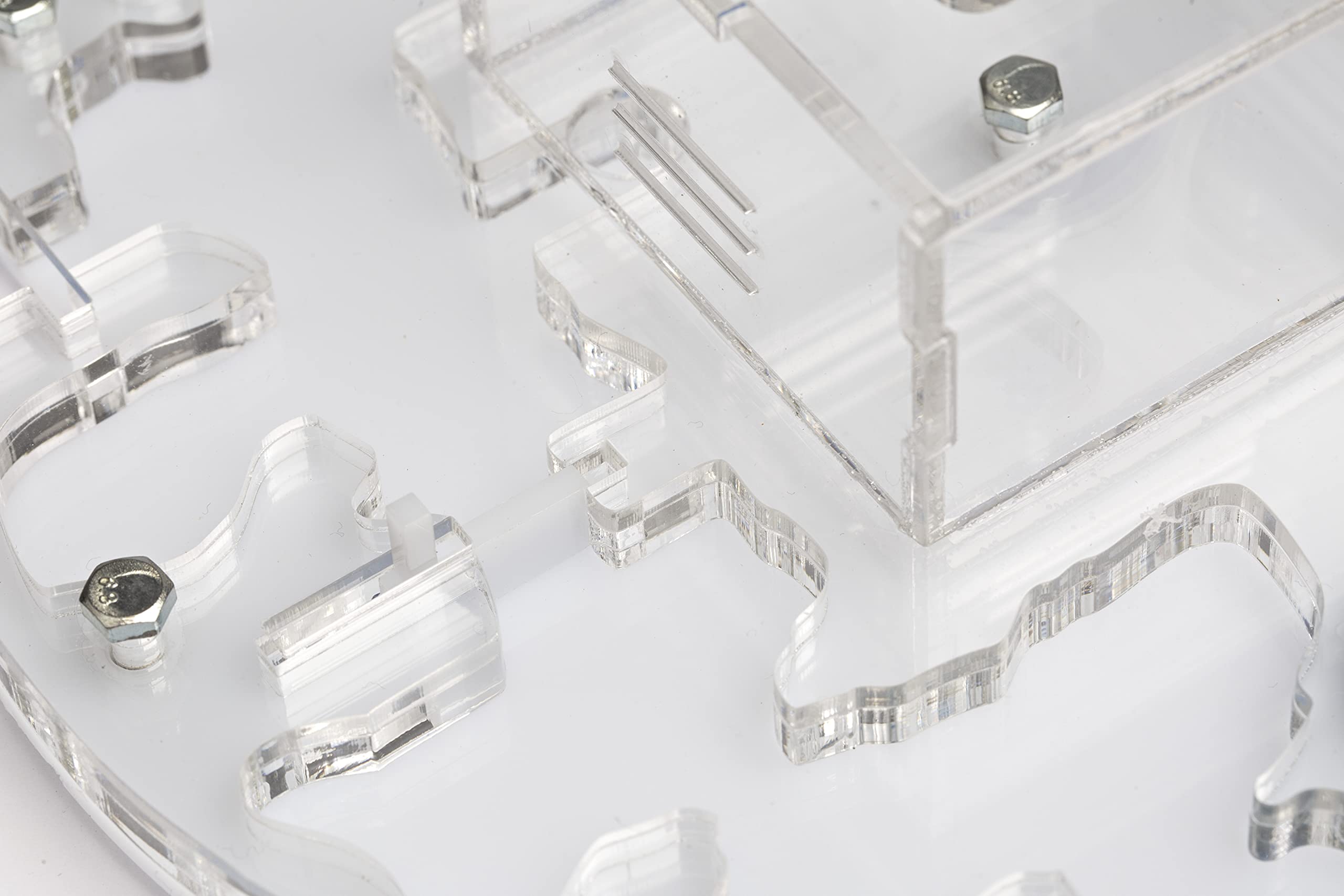 AntHouse Formicaio Acrilico Kit Educativo Circolare Medium 15x15x1,3 cm con Coperchio