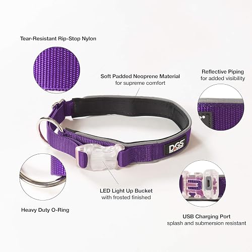Dog Gone Smart Pet Products Collar de Perro Cometa Recargable con luz LED, Morado, Mediano