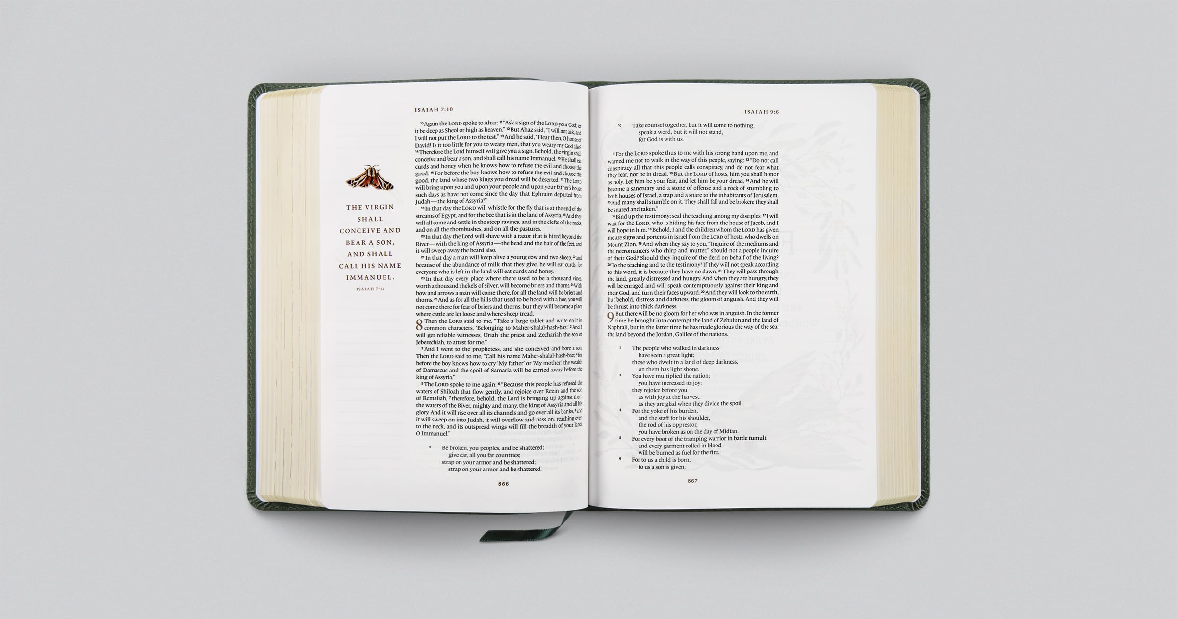 ESV GraceLaced Bible, Journaling Edition (TruTone, Quiet Forest)