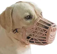 Focinheira para cães Pettycart, focinheira para cesto para cães pequenos, médios, grandes para parar de latir, morder e mastigar (tamanho 4 – focinho – 25,4 cm – Border Collie, bege)