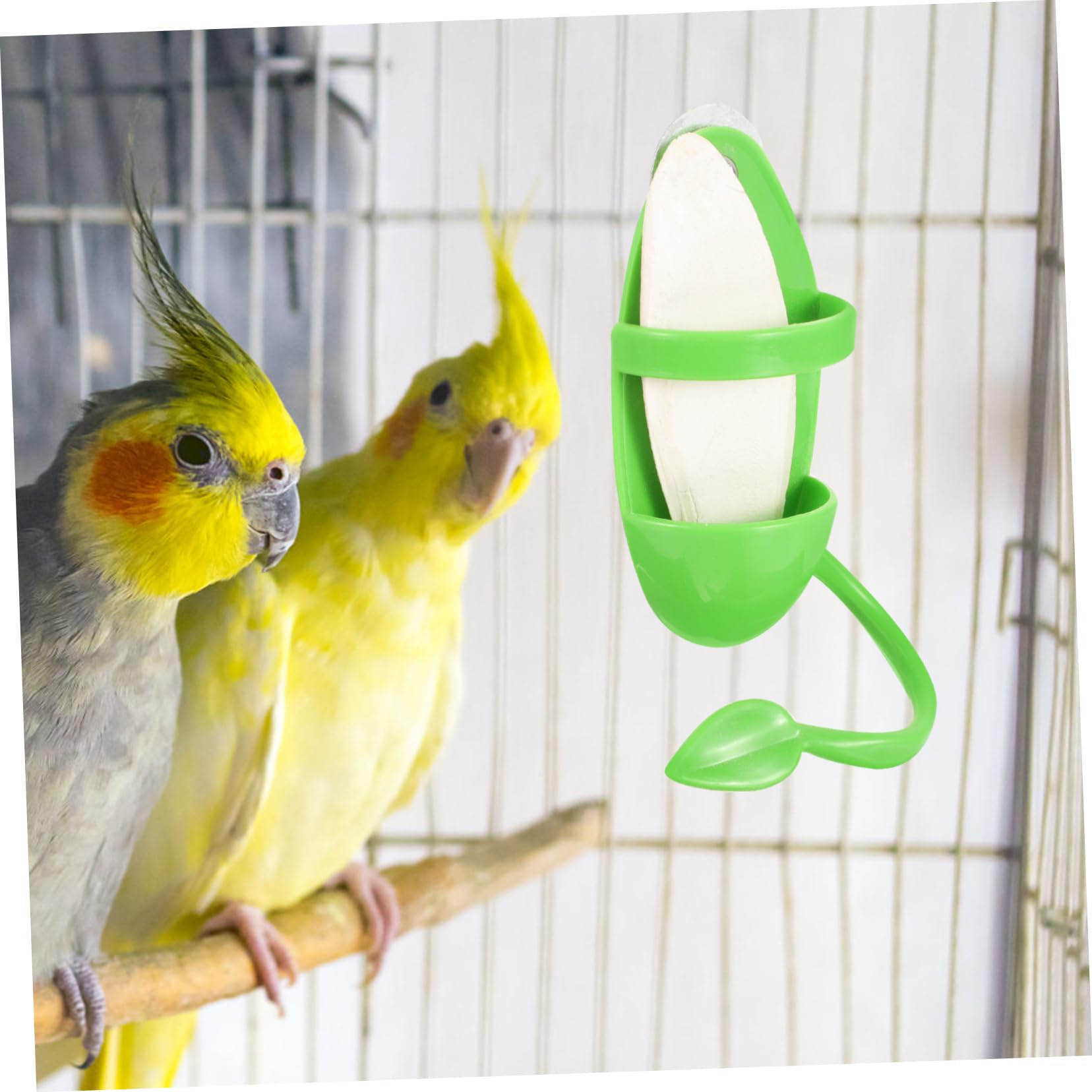 Beavorty 4sets Mangiatoia Per Per Cuttlebone Alimentatore Appeso Per Pappagalli e Parakeet Design Versatile Per e Accessorio Per Domestici