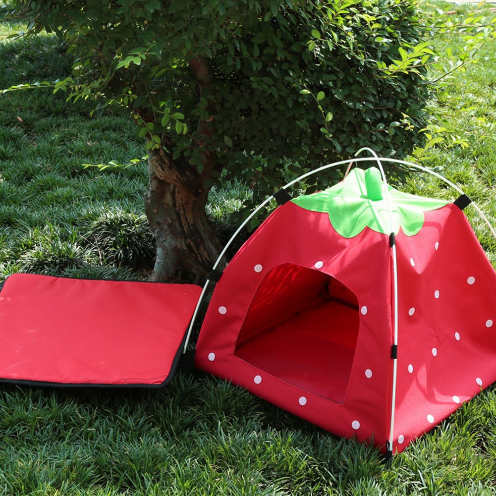 camping zelt mit hund Pet – – Zelt – Katzen Zelt – Pop Up Pet – Pet Shelter Zelt für Indoor Outdoor Kleine Hunde oder Katzen Haustier Color:Vapor-OB-C abus klickfix lenkertasche Fahrrad Bosch Gen. 2&3
