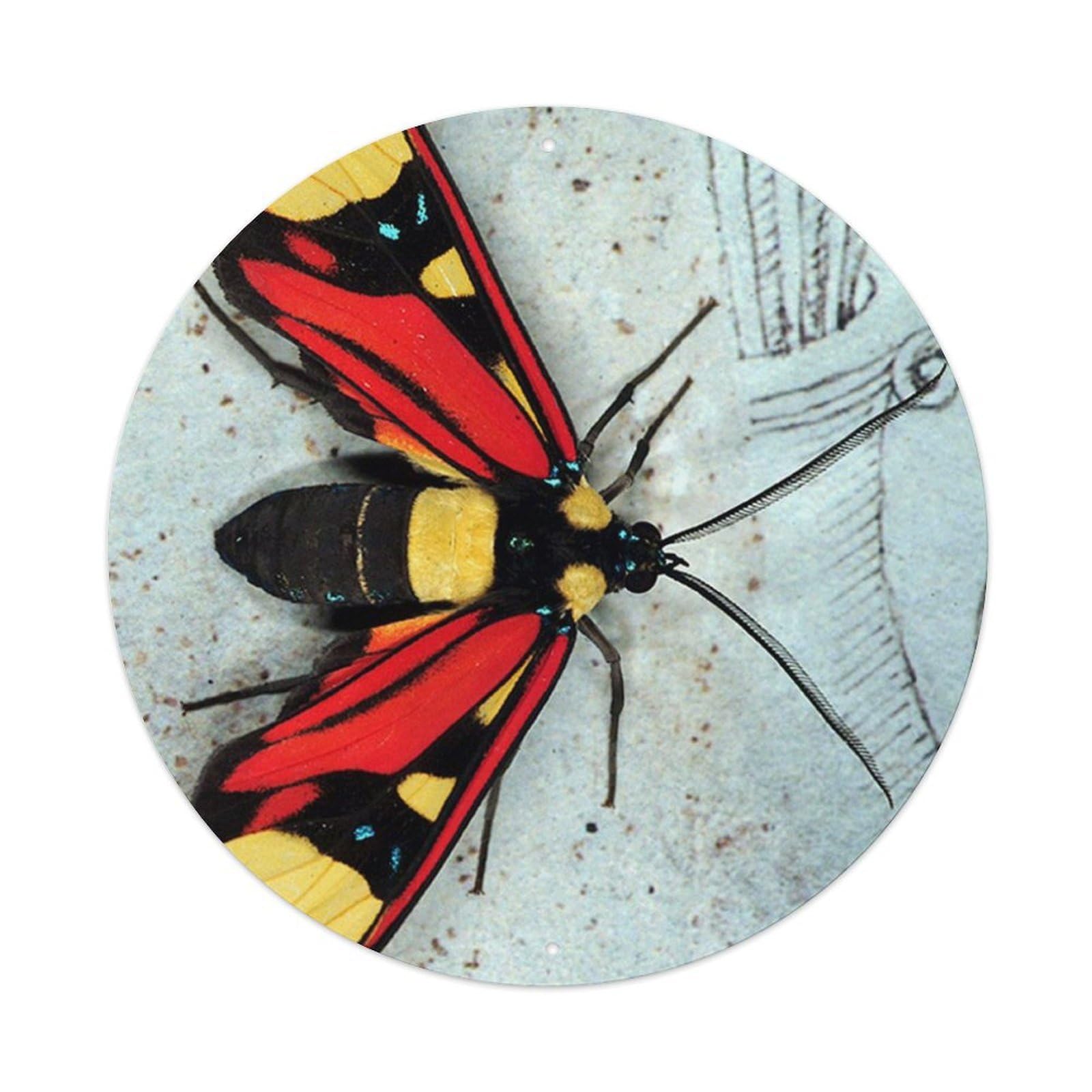 Insect Red-bellied Deer Moth Vintage Metal Tin Sign Plaque Wall Decor for Cafe, Club Bar, Office, Garden Metal Poster 8x8Inch