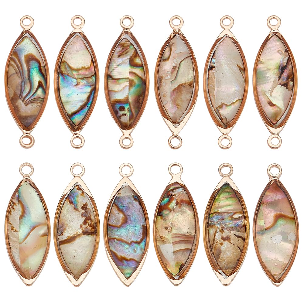 Benecreat 8 Pièces 4 Styles Coquille D'ormeau Naturel