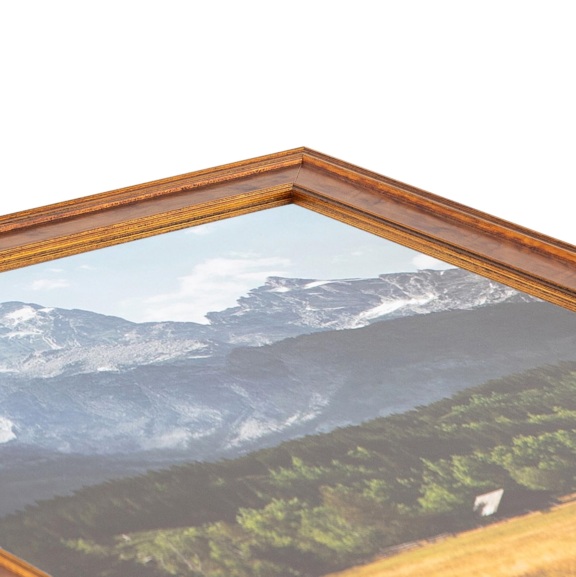 豪華木製ゴールド額　外寸約923×770mm　内寸約724×567mm 額 『Vインチ額 ゴールド』 画材・文具,額| ホビー材料の通販