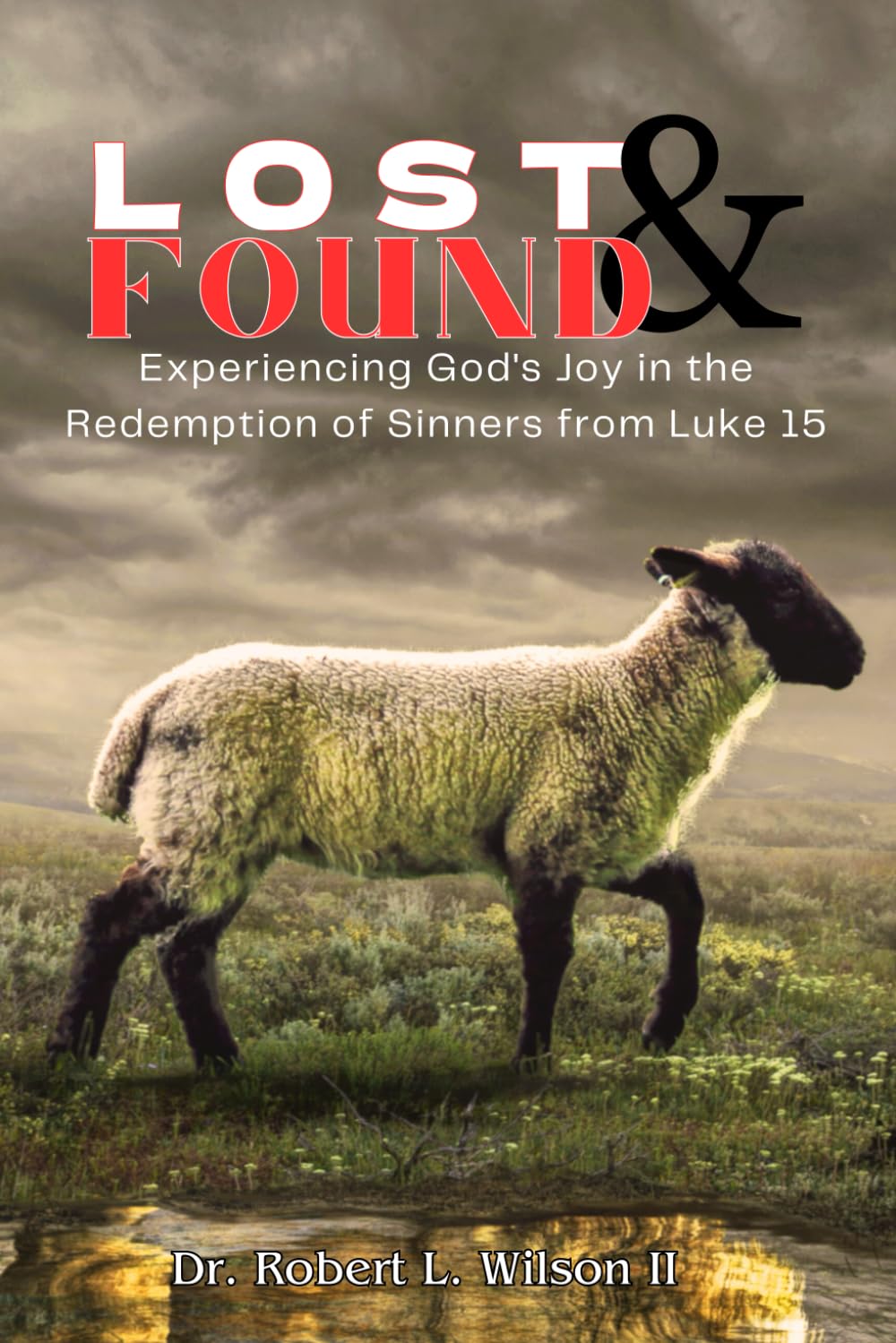 Lost and Found: Experiencing God's Joy in the Redemption of Sinners from Luke 15