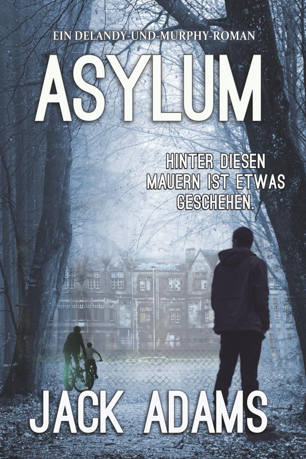 Asylum: Ein psychologischer Thriller (Delaney and Murphy)