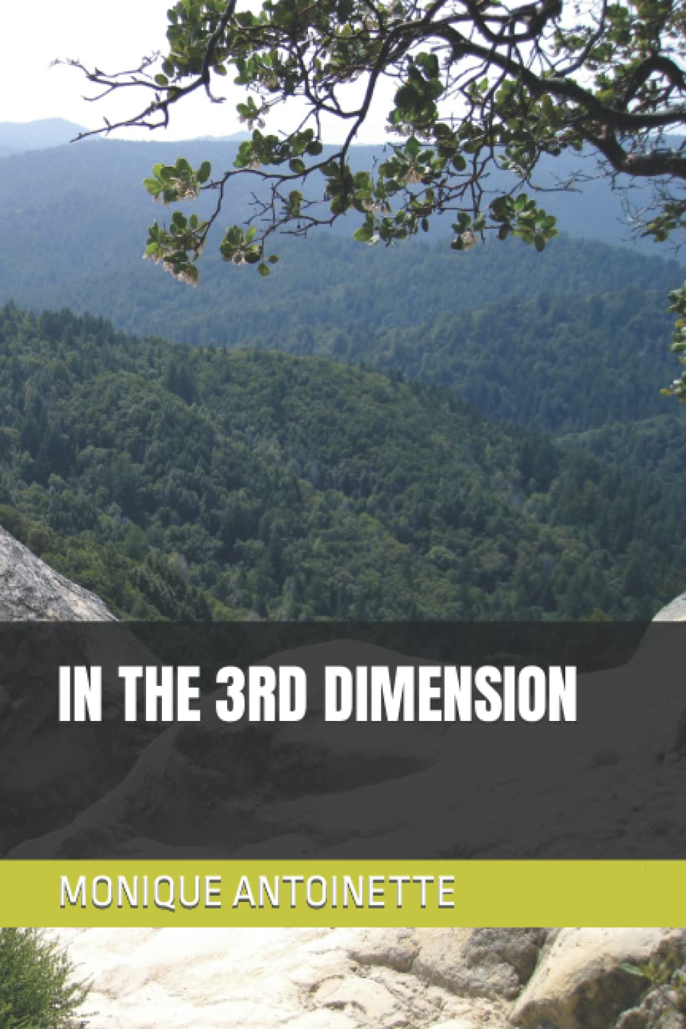 IN THE 3RD DIMENSION