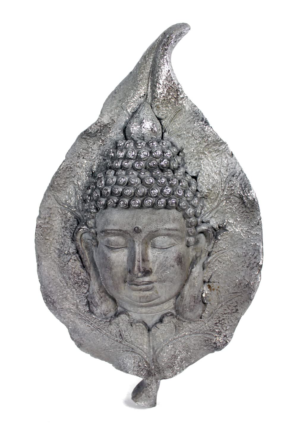Arnusa