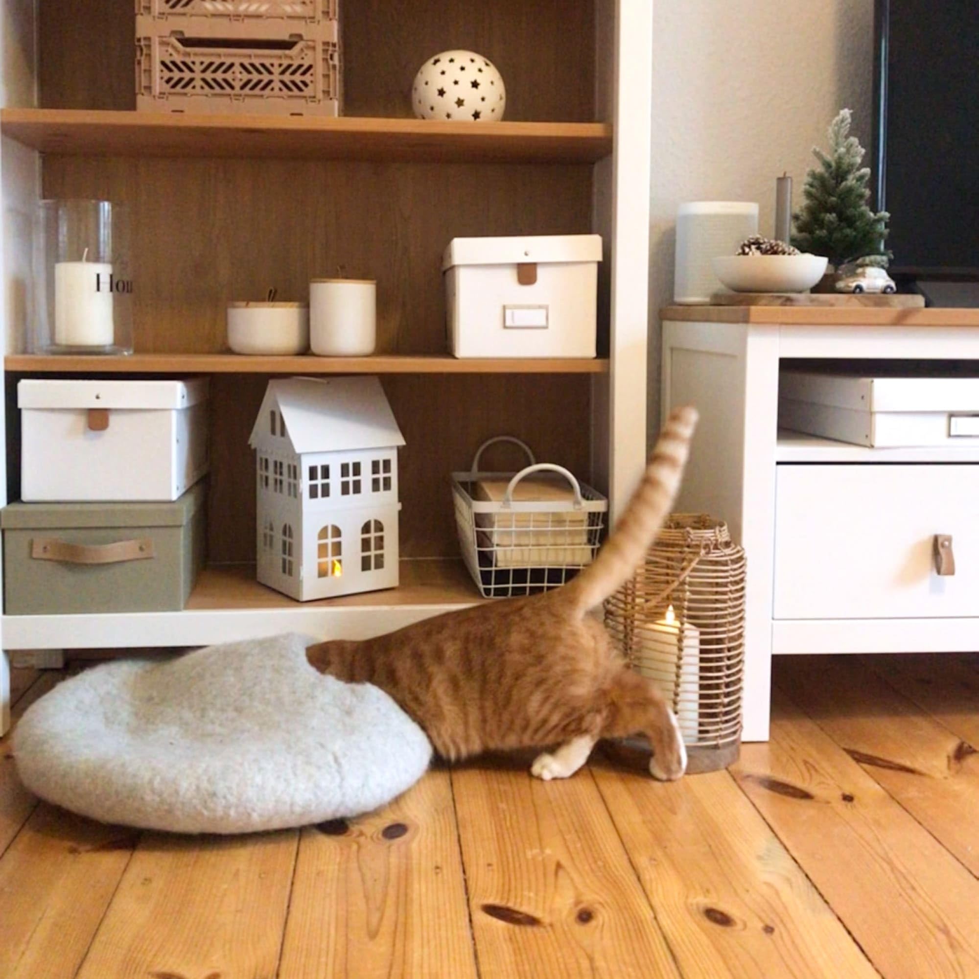 LucyBalu® Pebble Filzhöhle für Katzen I Katzenbett & Kuschelhöhle aus 100% Schurwolle I handgefertigt in Nepal I Naturstein-Optik, atmungsaktiv & geruchsneutral I Ø 45 cm I Hellgrau